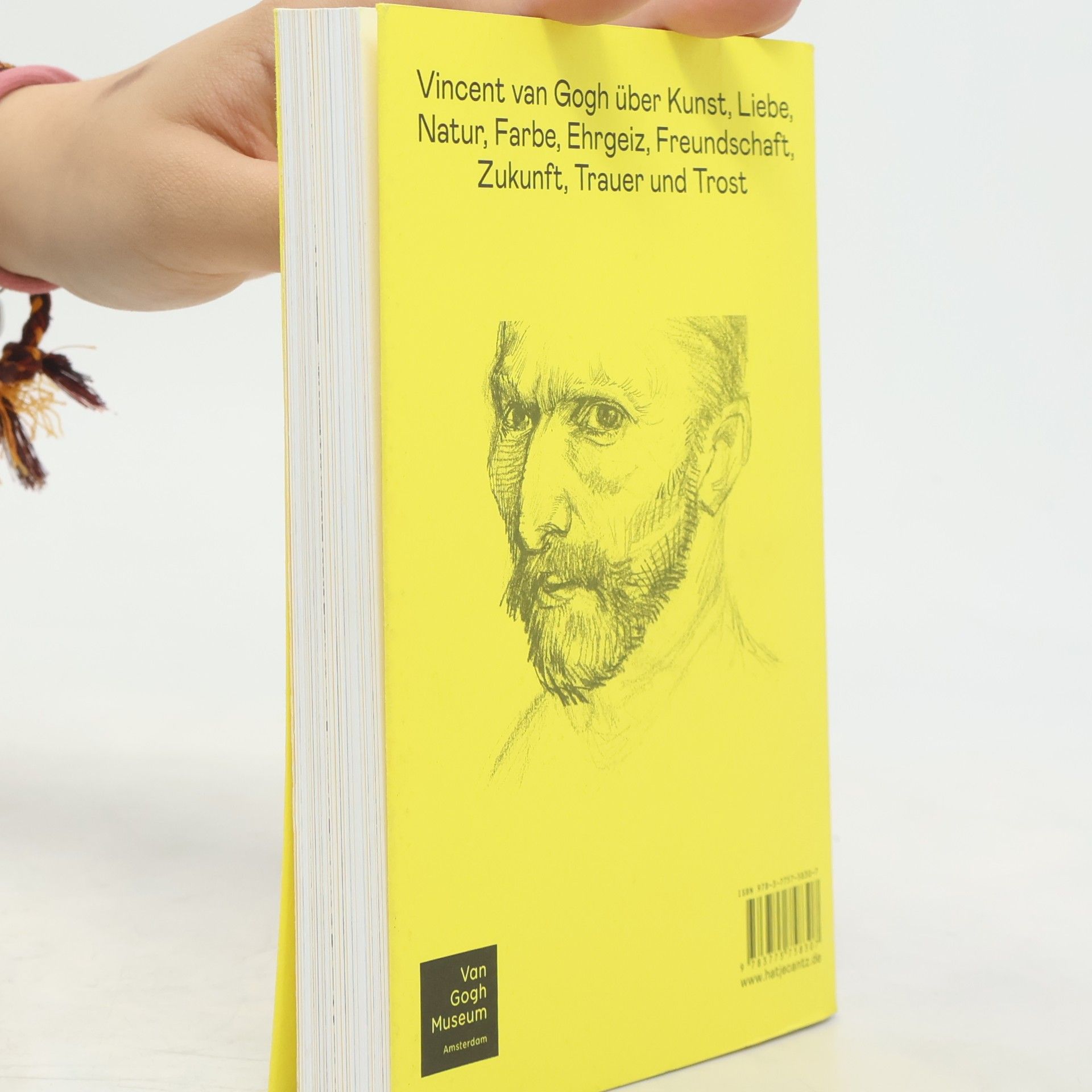 Autorenkollektiv Wie Vincent das Leben sah. 150 inspirierende Zitate