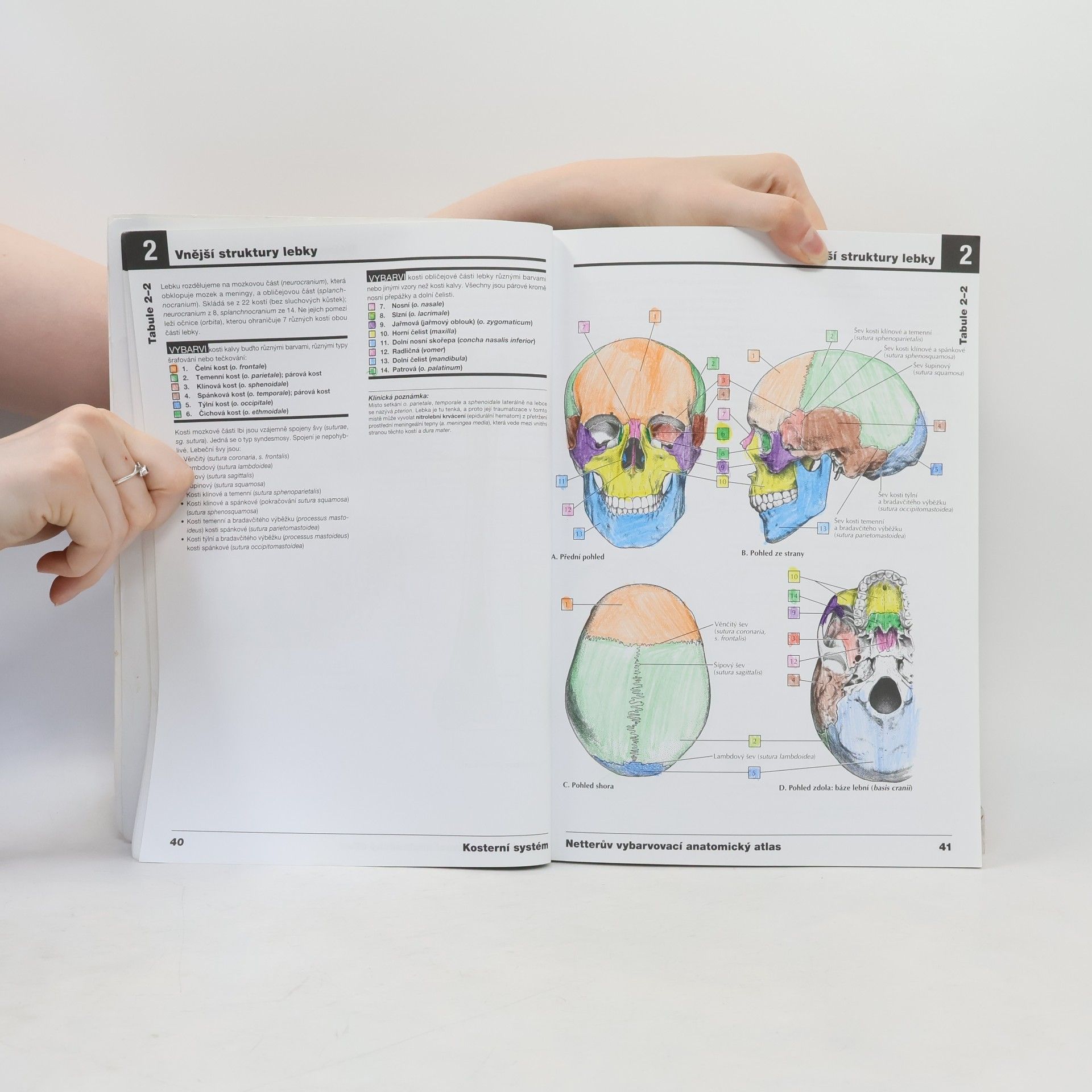 John T. Hansen Netterův vybarvovací anatomický atlas