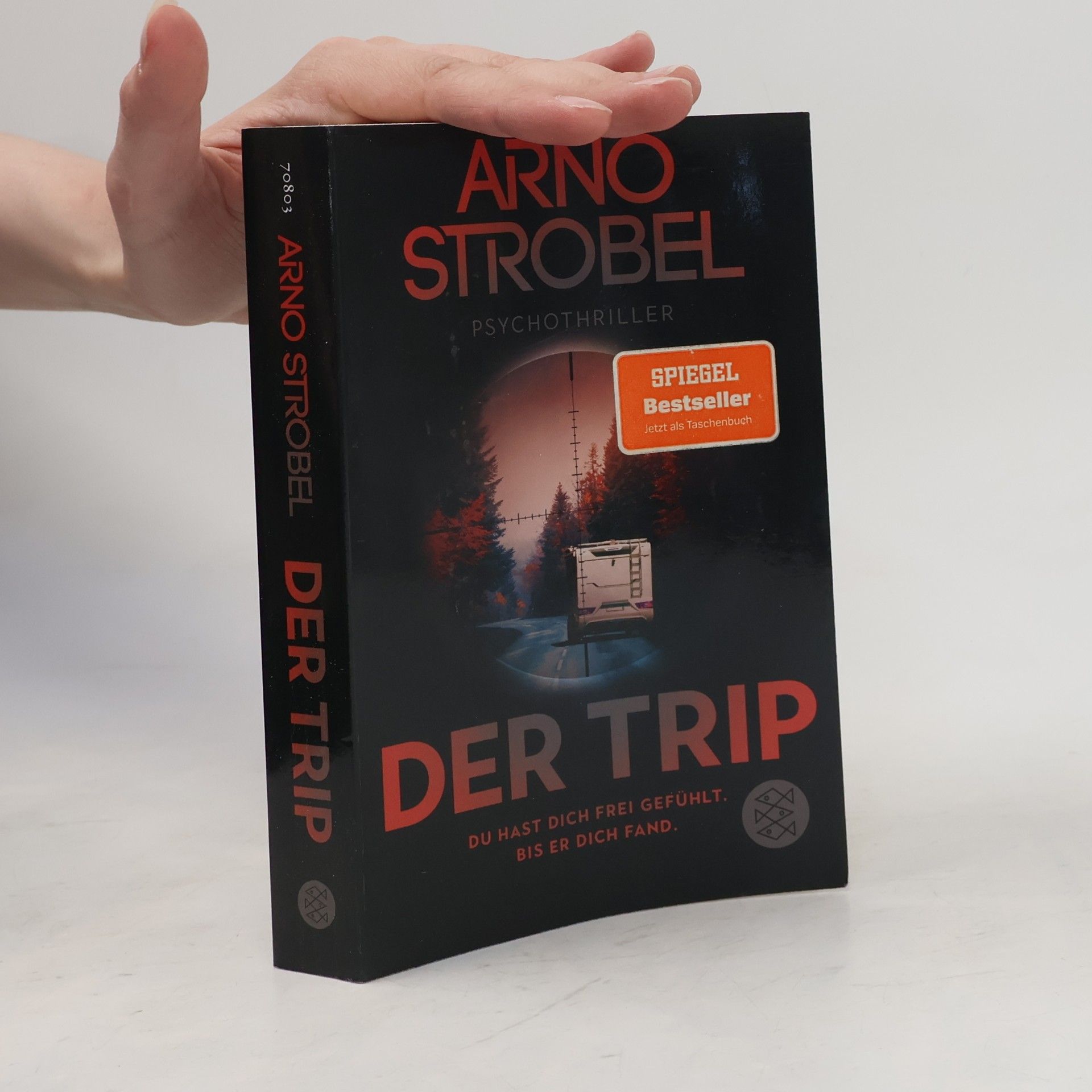 Arno Strobel Der Trip