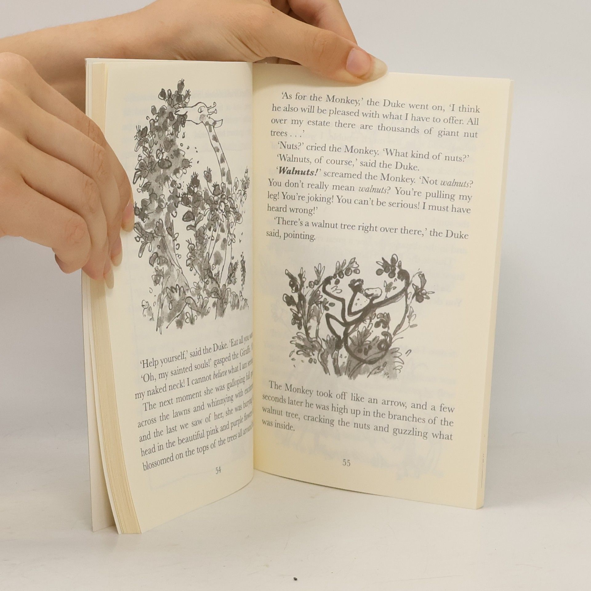 Roald Dahl The Giraffe and the Pelly and Me