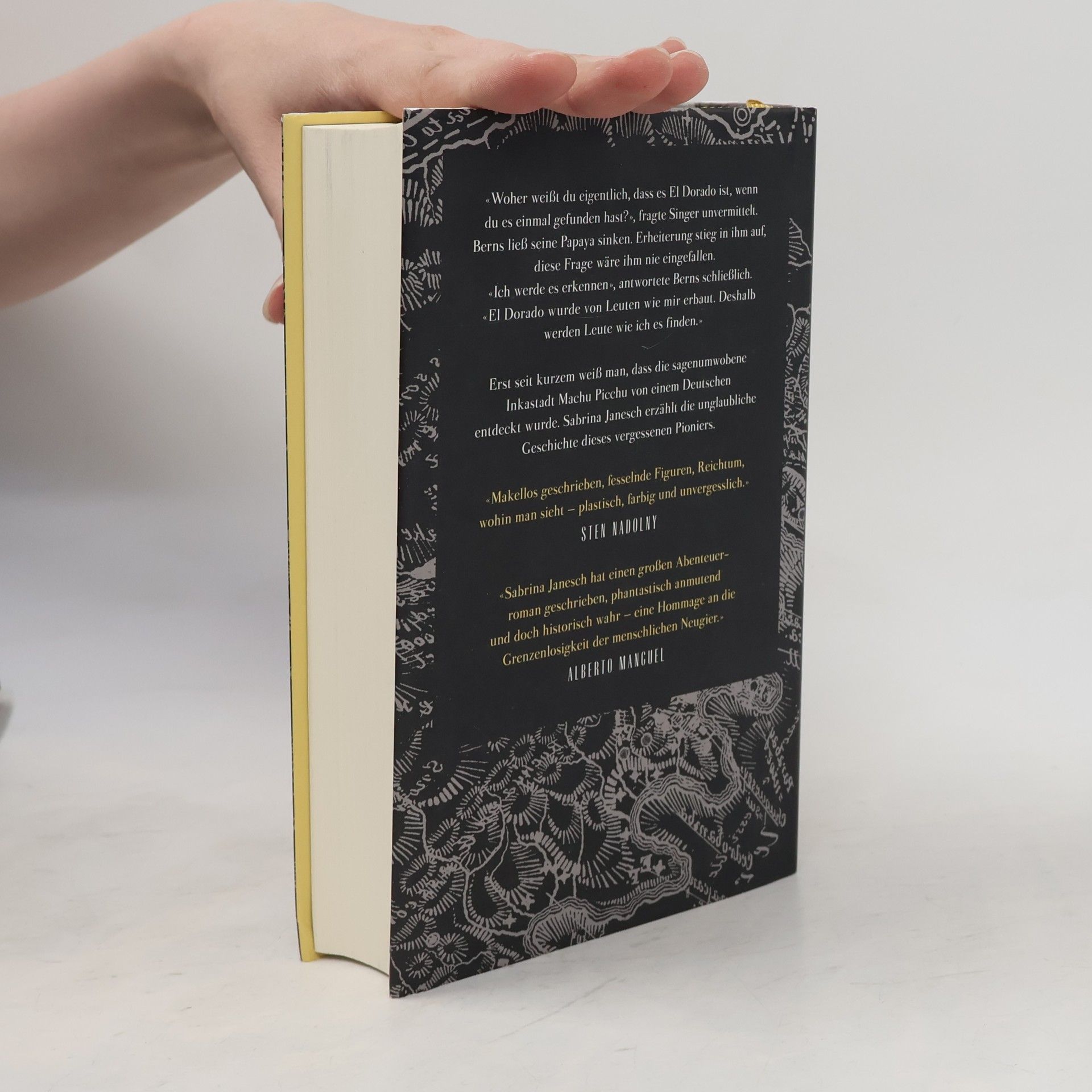 Sabrina Janesch Die goldene Stadt