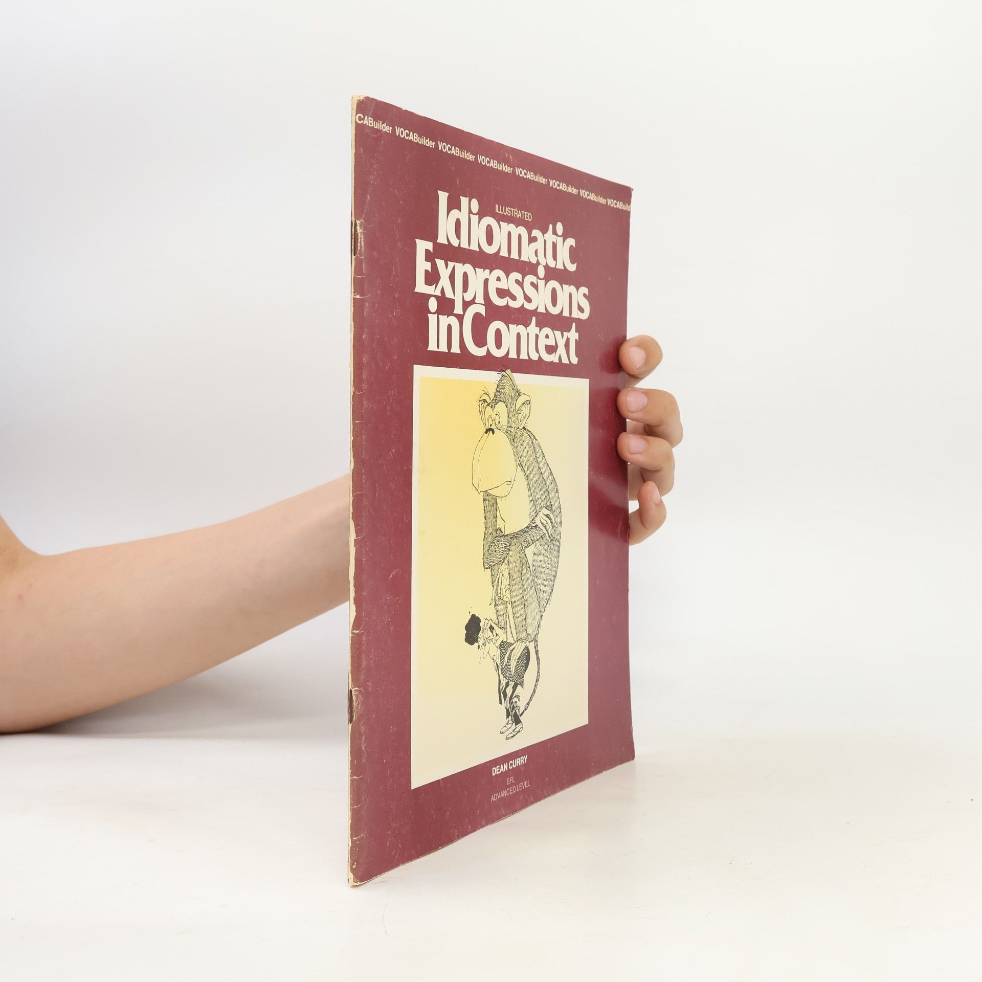Idiomatic expressions in context. Výklad ustálených výrazů v anglickém jazyce pro pokročilejší studenty