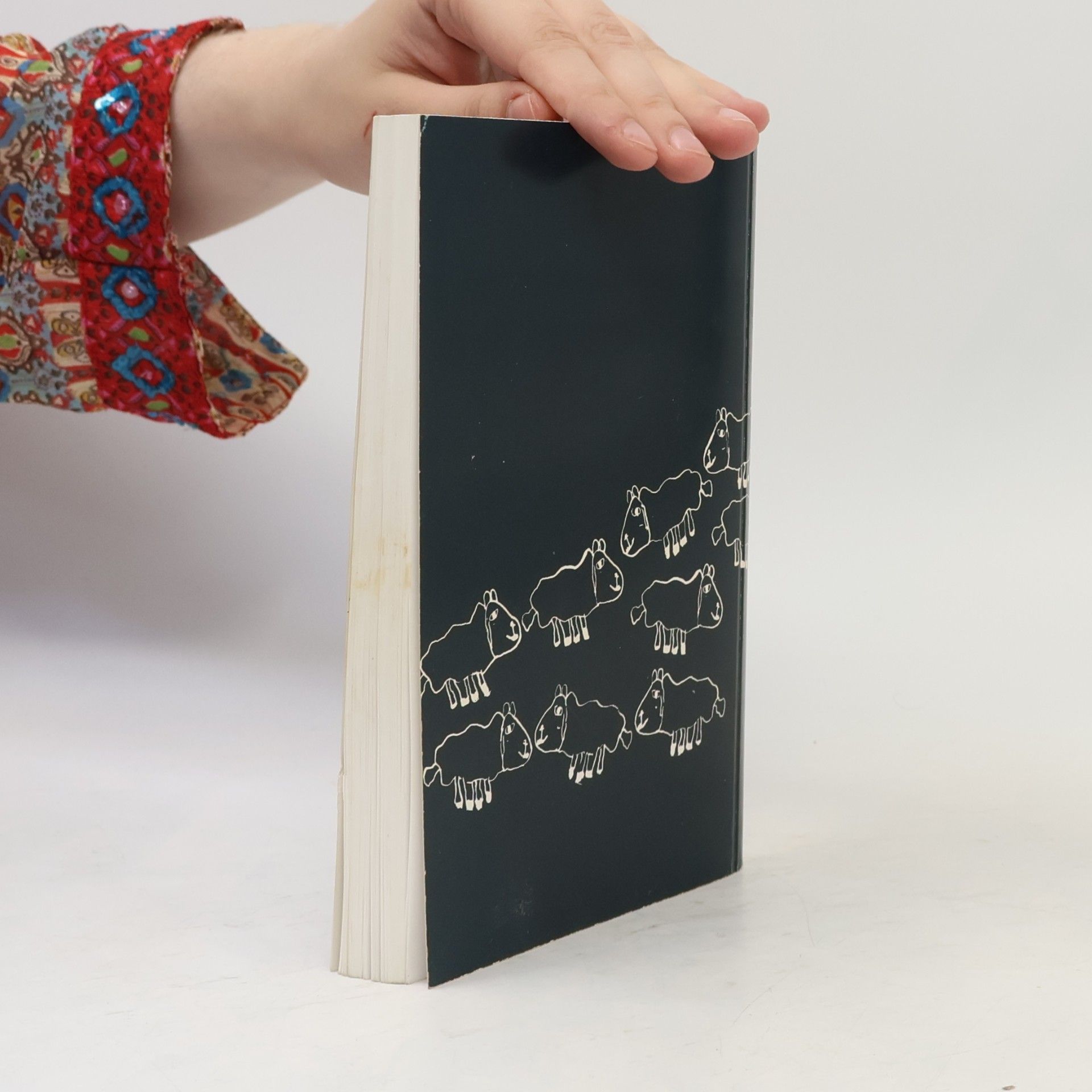 Collectif d'auteurs Zvěstování víry
