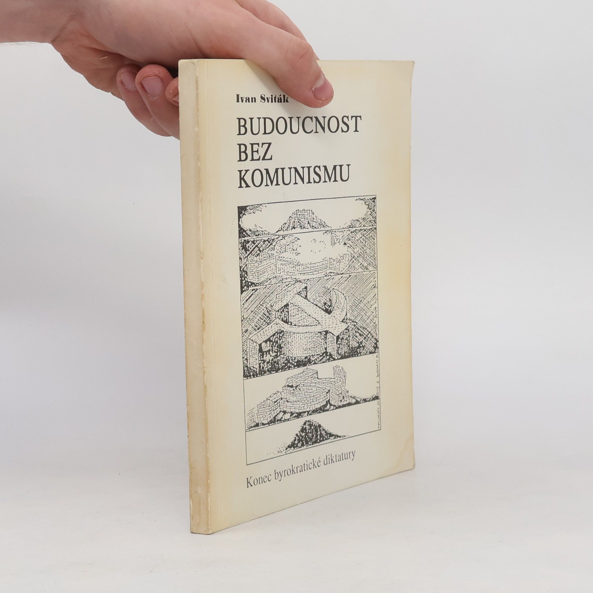 Budoucnost bez komunismu