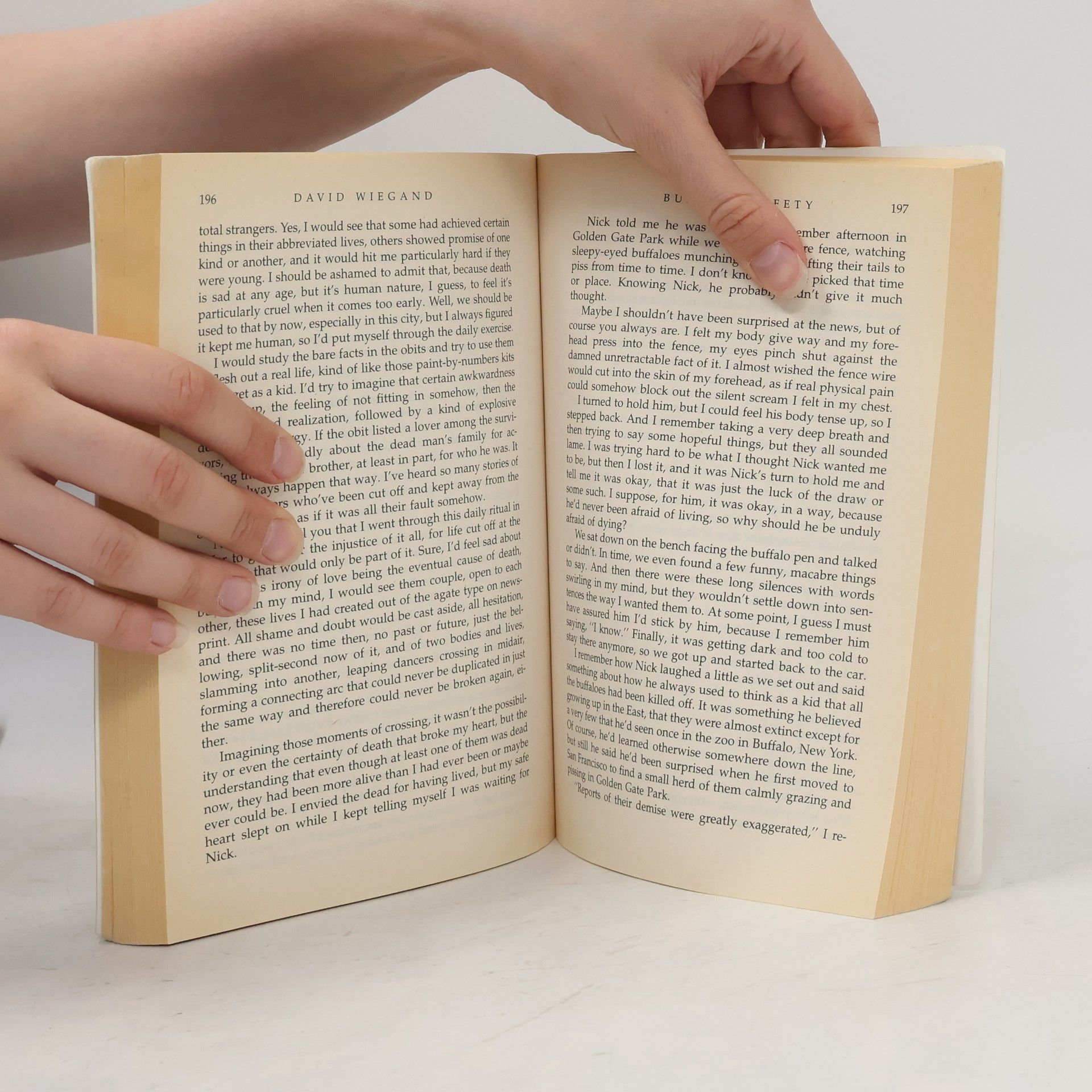 Julie Schumacher Prize Stories 1996