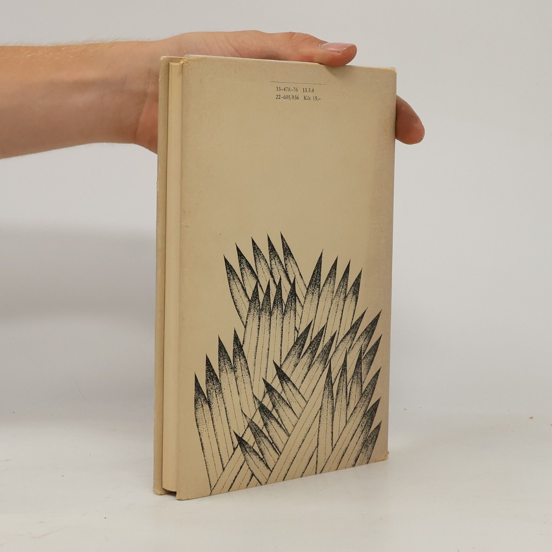 Shōhei Ōoka Ohně na planinách