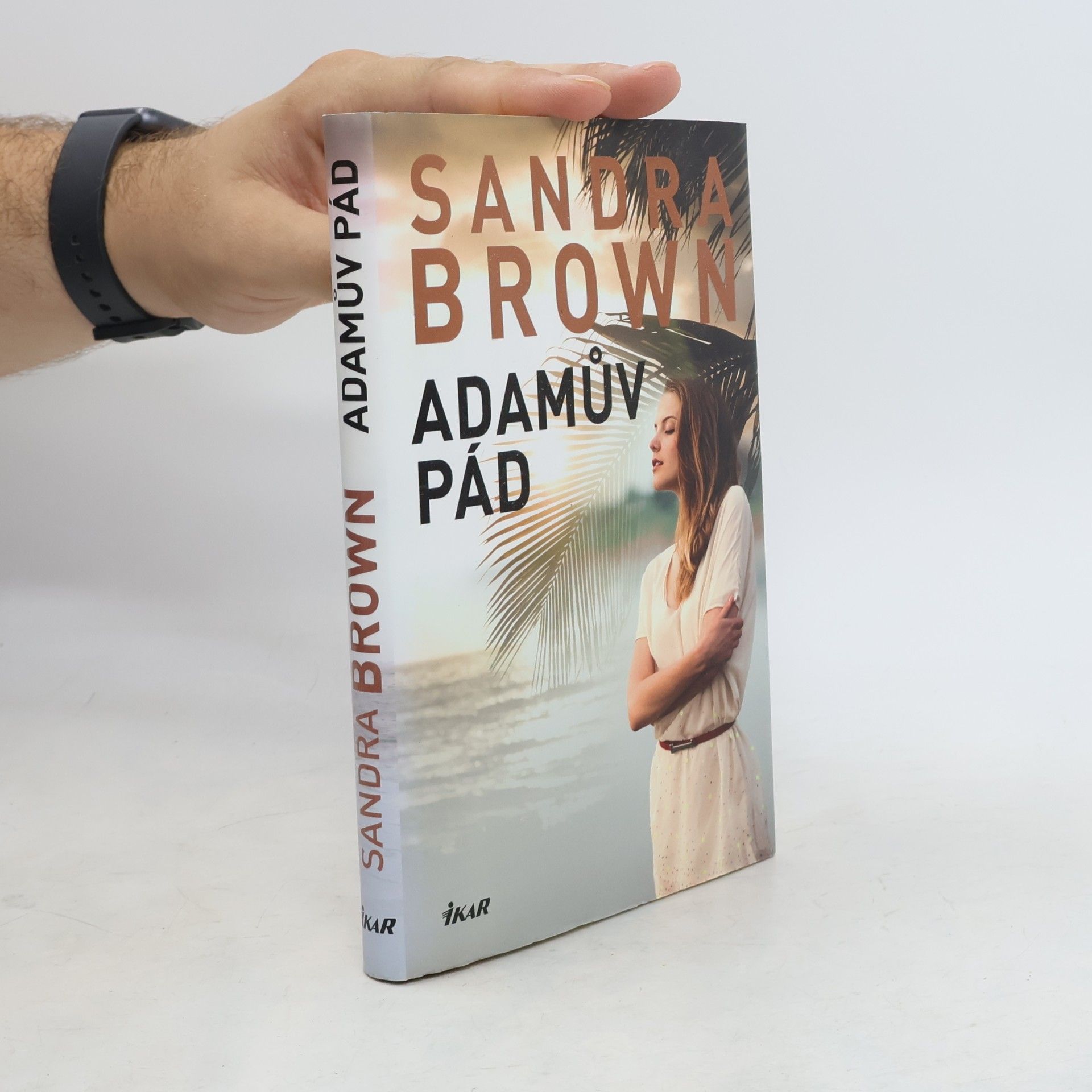 Sandra Brown Adamův pád