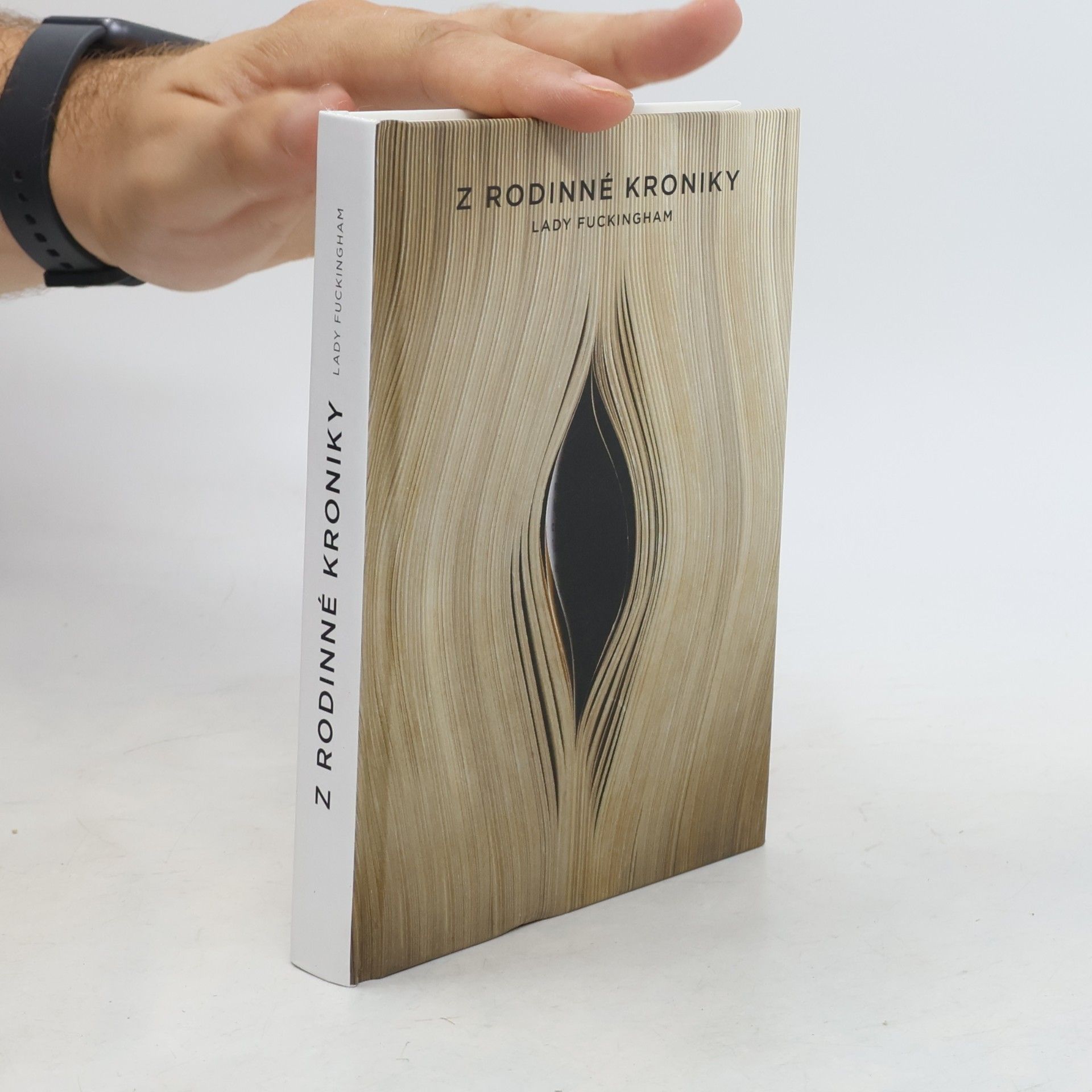 Collectif d'auteurs Z rodinné kroniky Lady Fuckingham