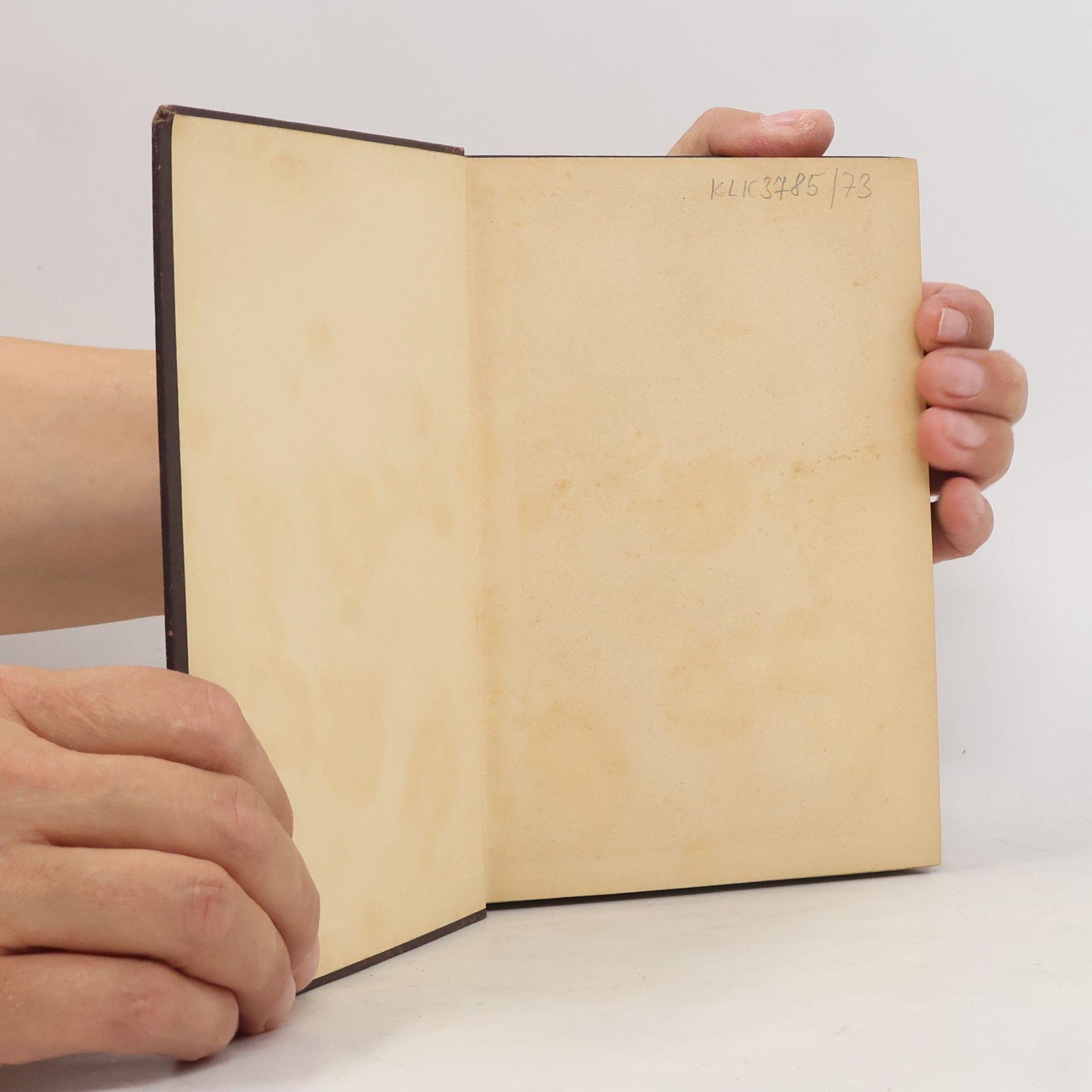 Heinrich Kurz Goethes Werke VI. Band