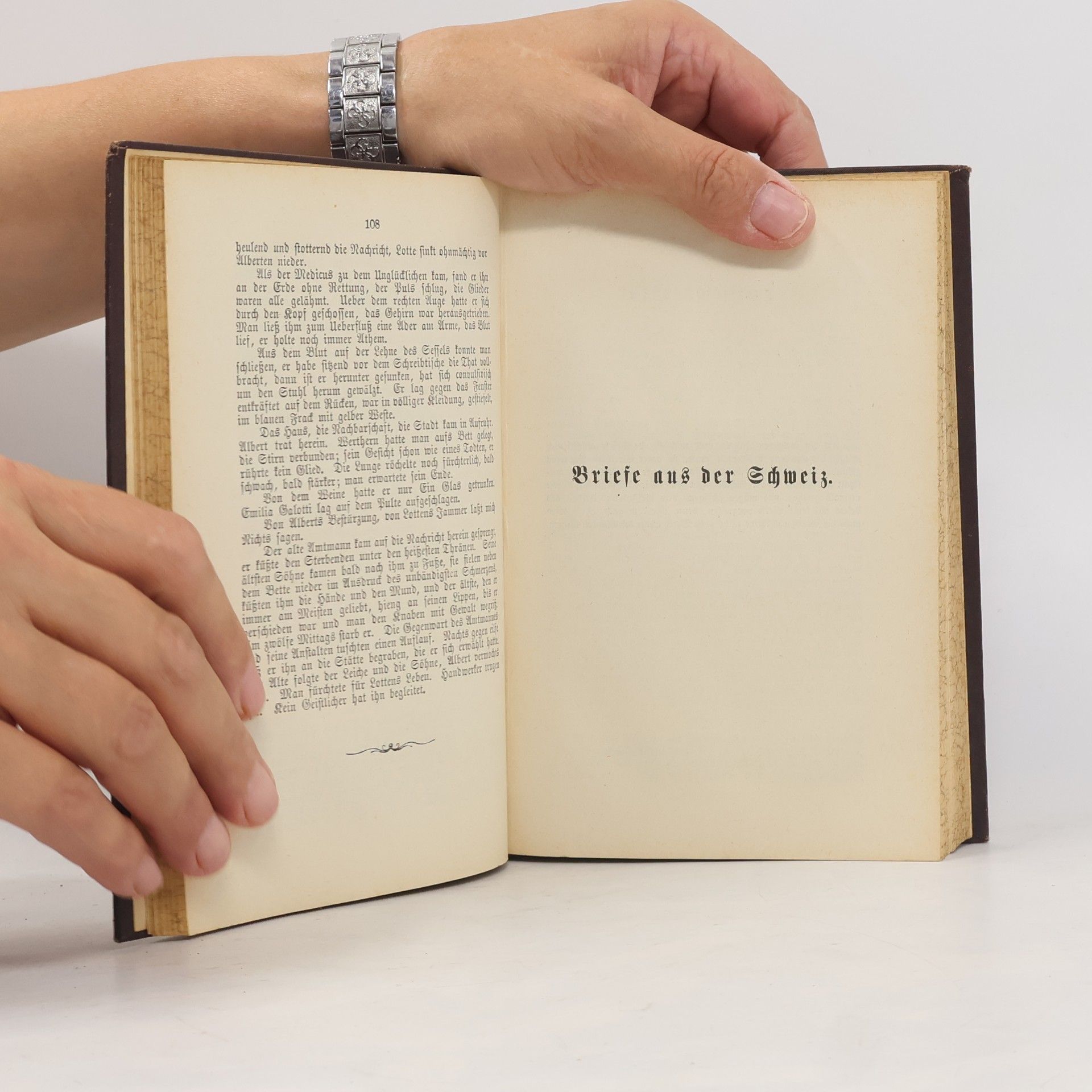 Heinrich Kurz Goethes Werke VI. Band