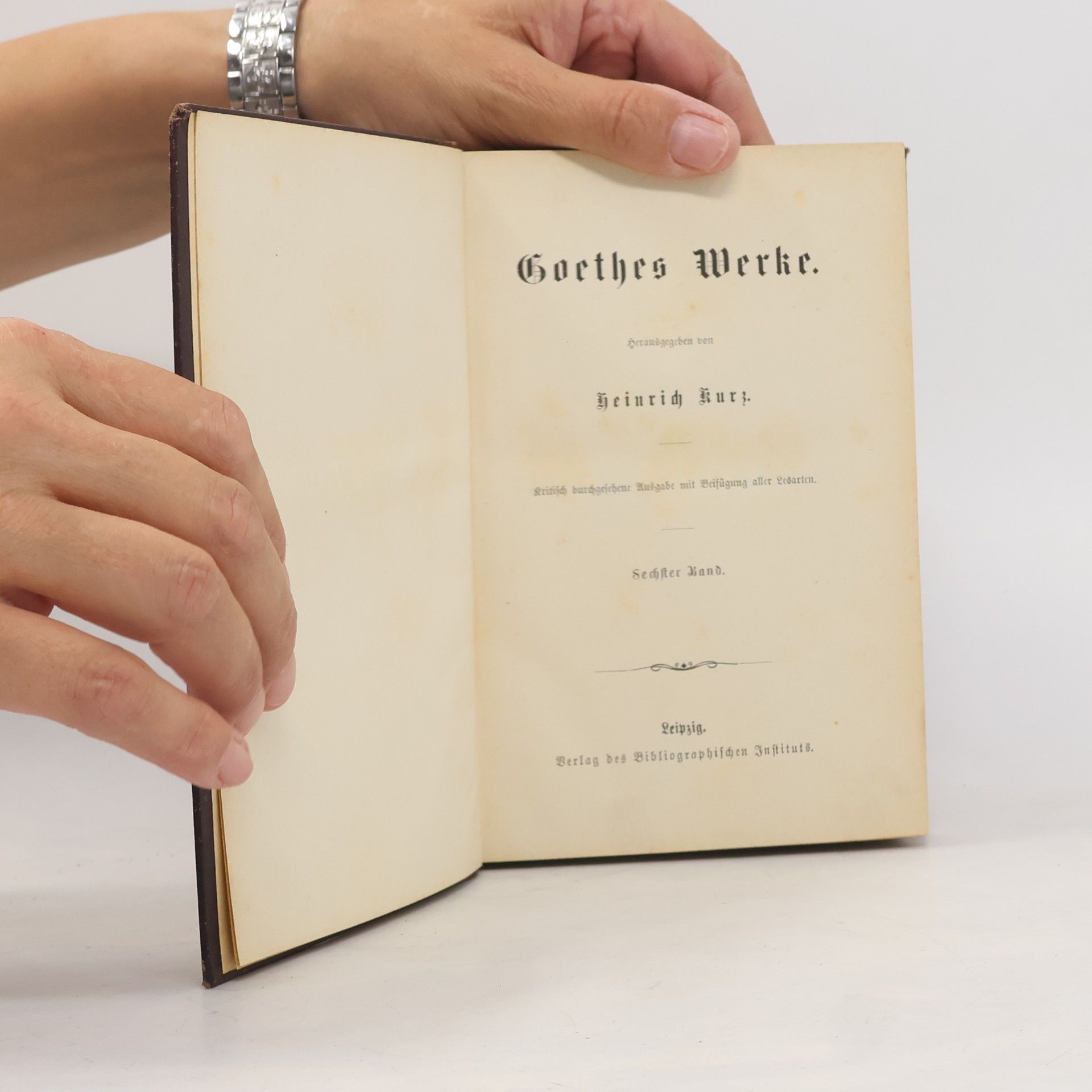 Heinrich Kurz Goethes Werke VI. Band