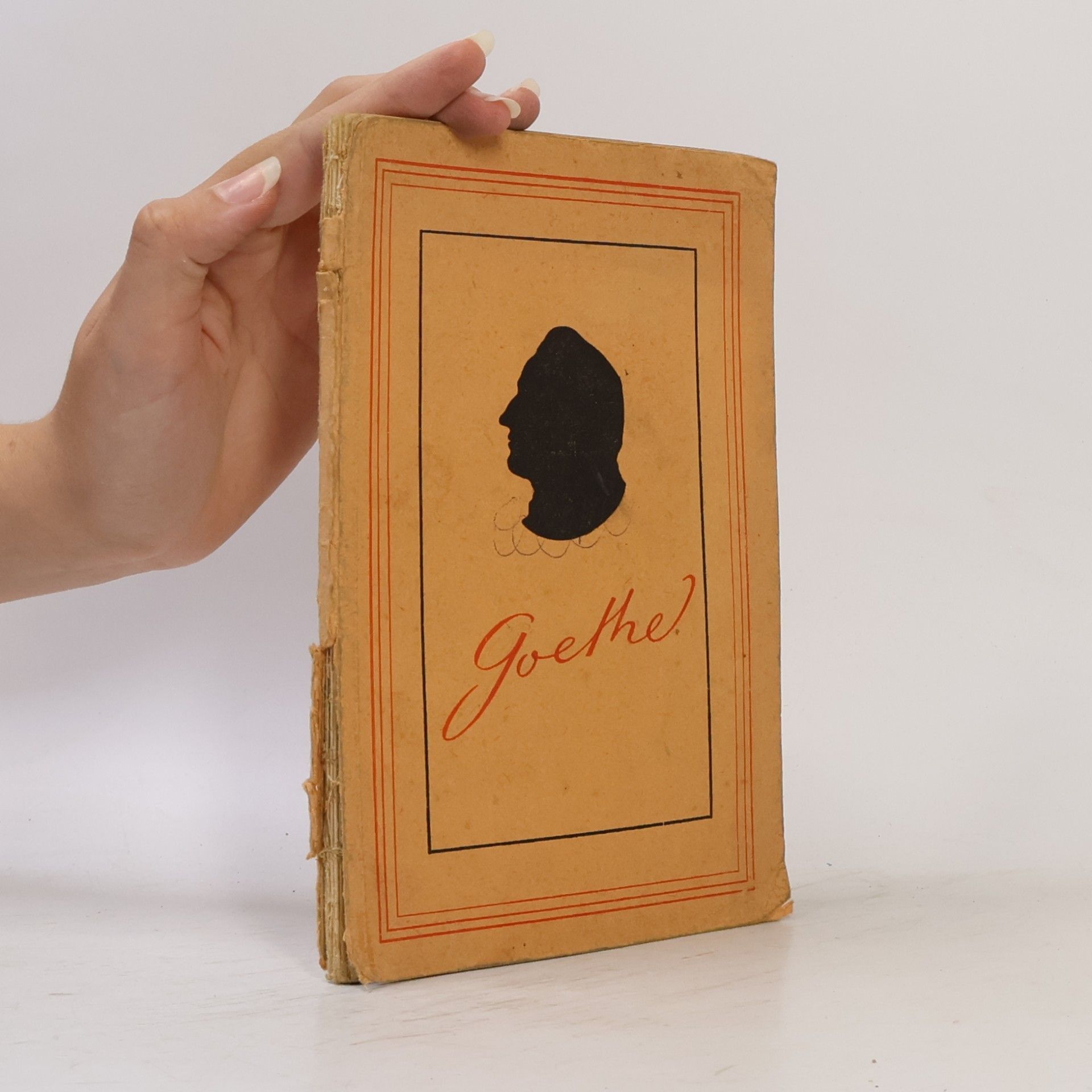 Autorenkollektiv Goethe. Ein Brevier für Jugend am Oberrhein