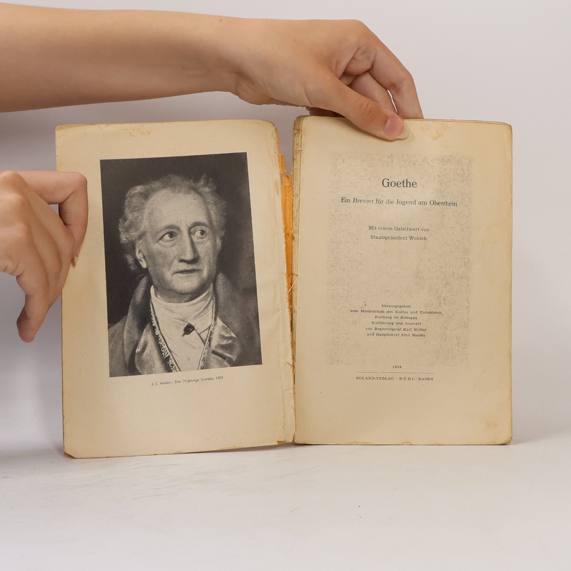 Autorenkollektiv Goethe. Ein Brevier für Jugend am Oberrhein