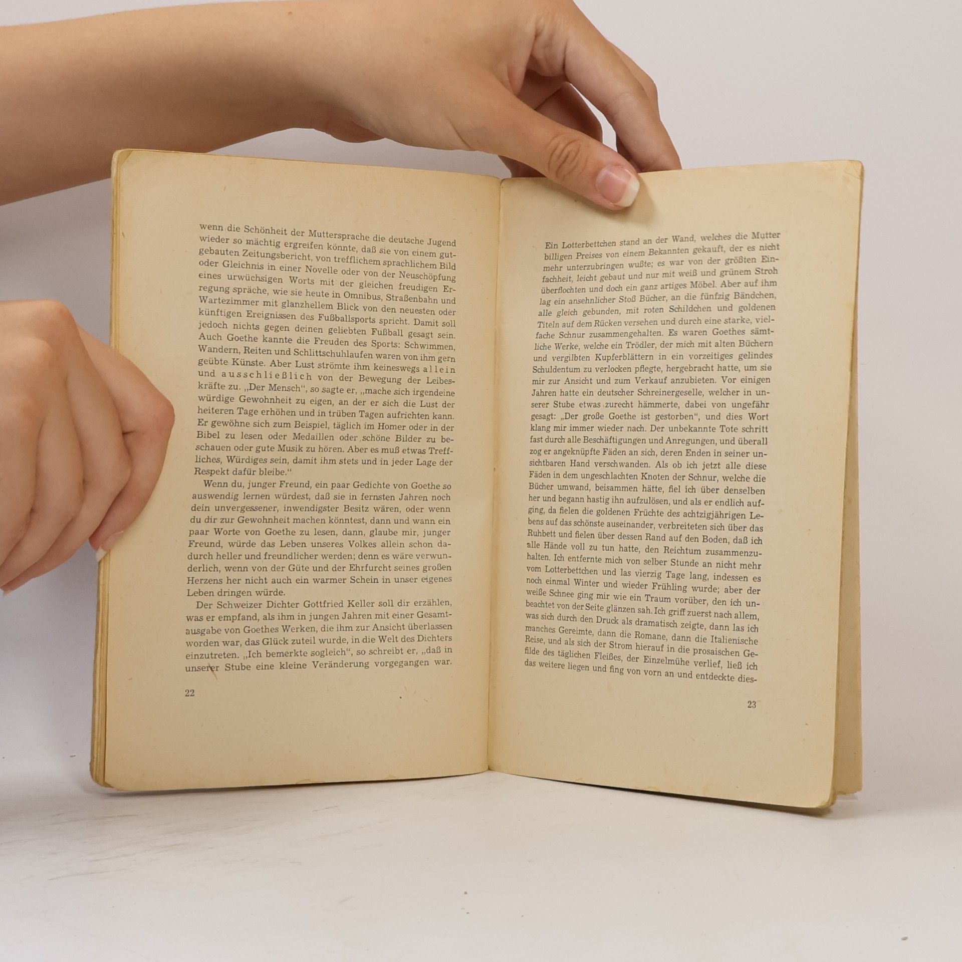 Autorenkollektiv Goethe. Ein Brevier für Jugend am Oberrhein