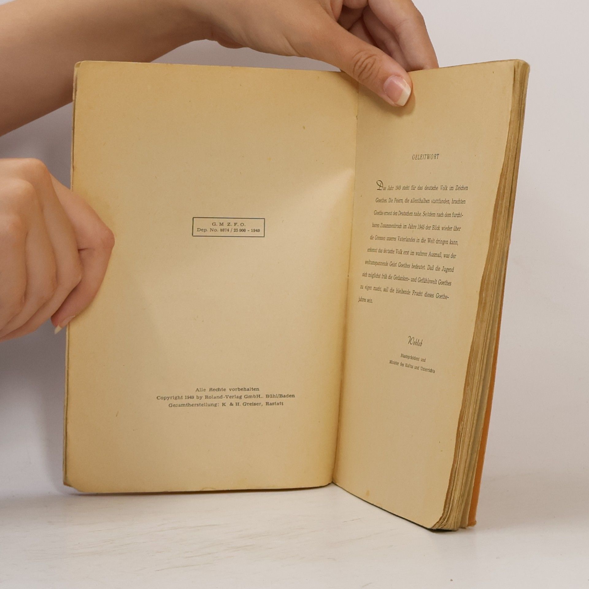 Autorenkollektiv Goethe. Ein Brevier für Jugend am Oberrhein