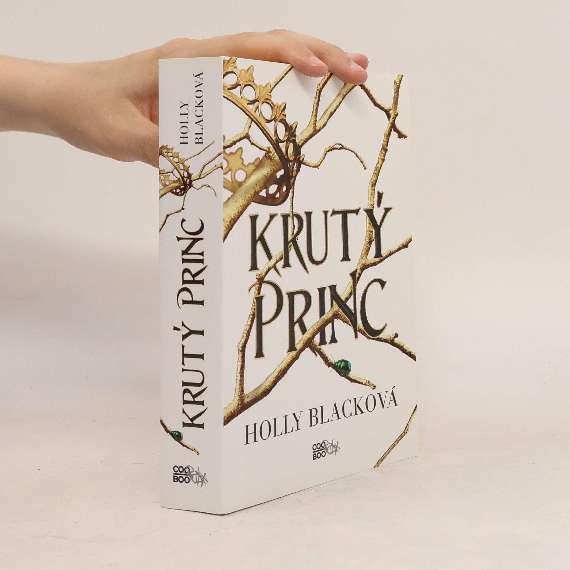 Holly Black Krutý princ