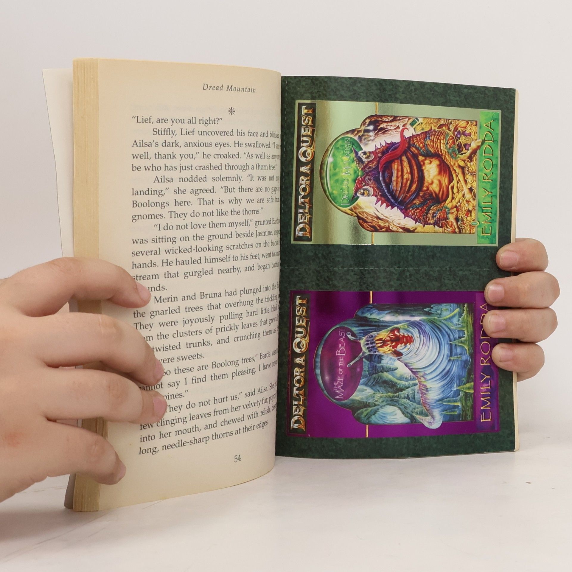 Jennifer Rowe Dread mountain : Deltora Quest