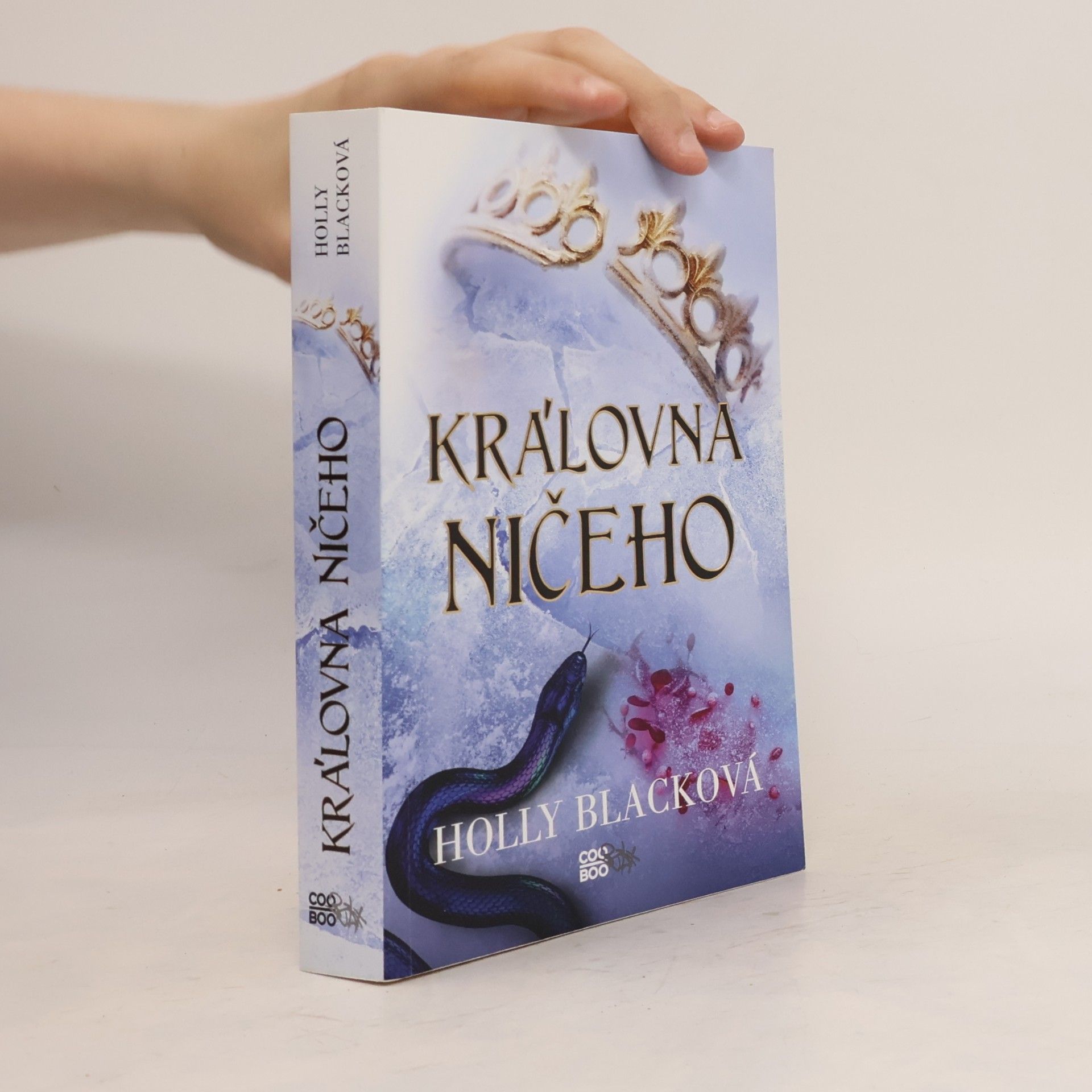 Holly Black Královna ničeho