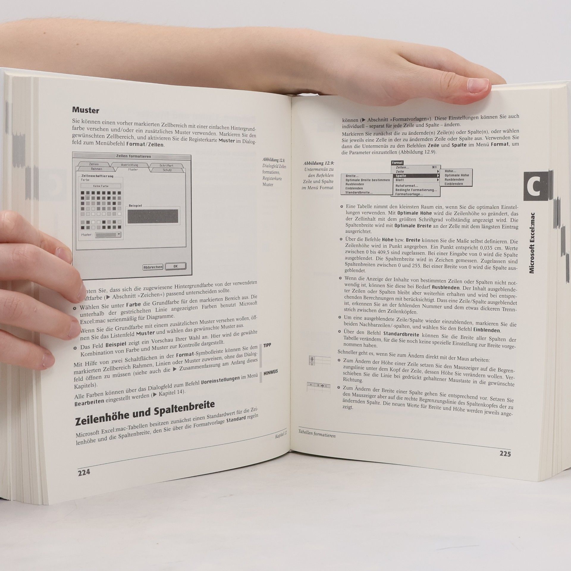 Eva Kolberg Microsoft Office 2001 Macintosh Edition - Das Handbuch