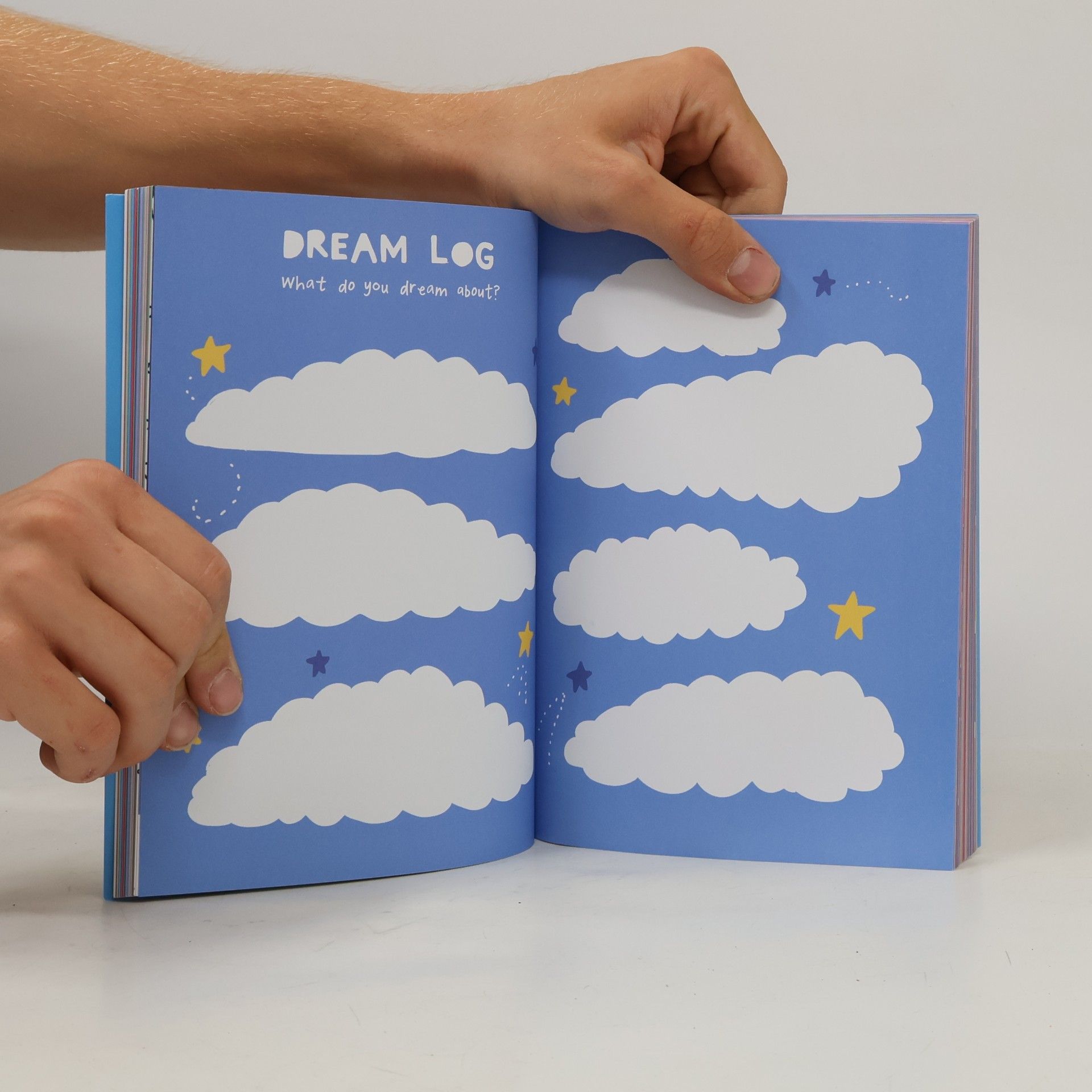 Pavilion Books Group Ltd Swift, S: Positively Awesome Journal
