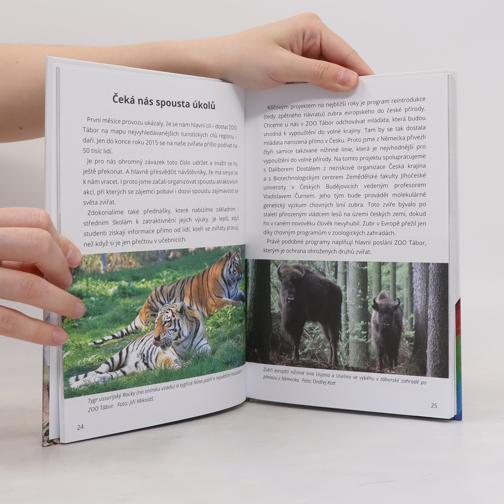Evzen Korec Jak jsem zachránil ZOO v Táboře