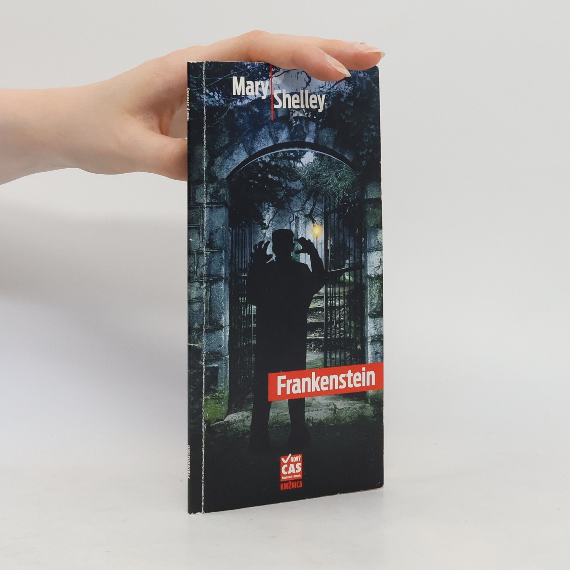 Mary Shelley Frankenstein