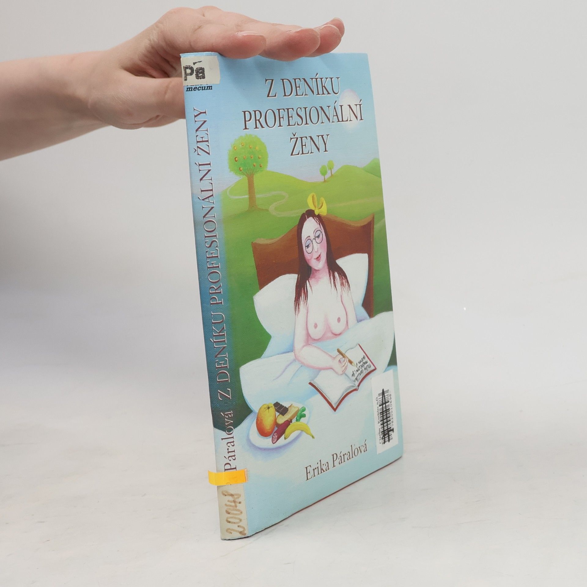 Erika Páralová Z deníku profesionální ženy
