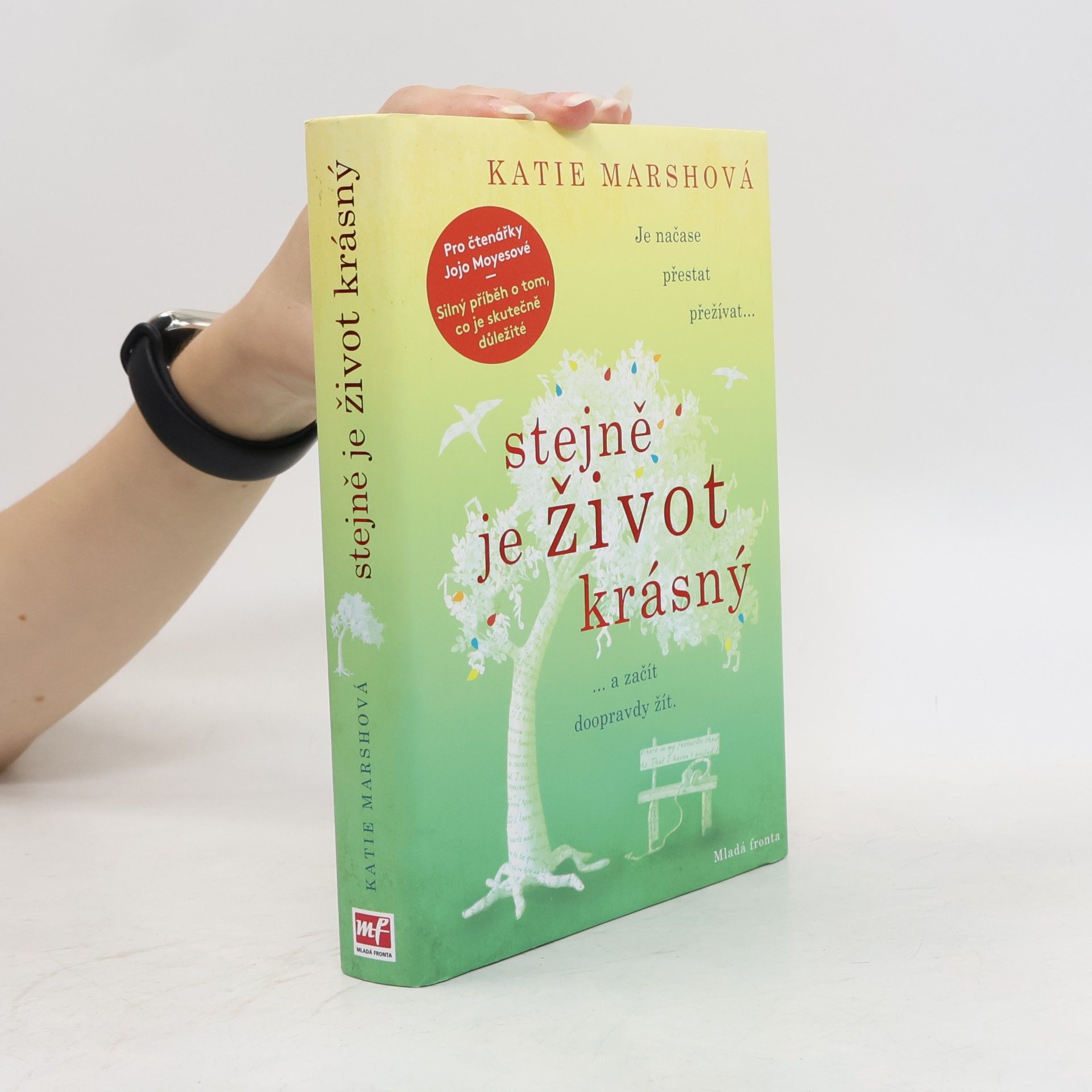 Katie Marsh Stejně je život krásný