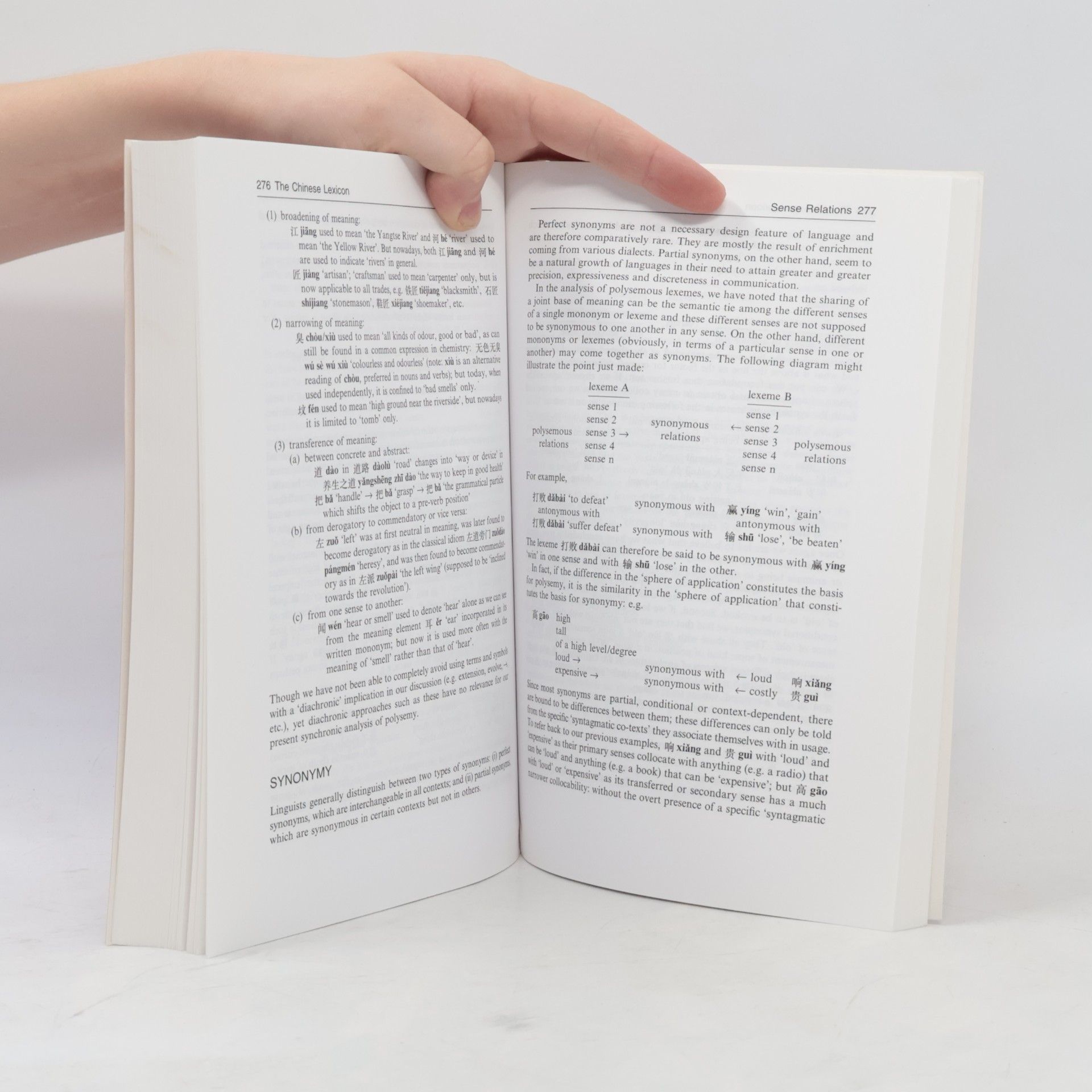 Po-Ching Yip The Chinese Lexicon