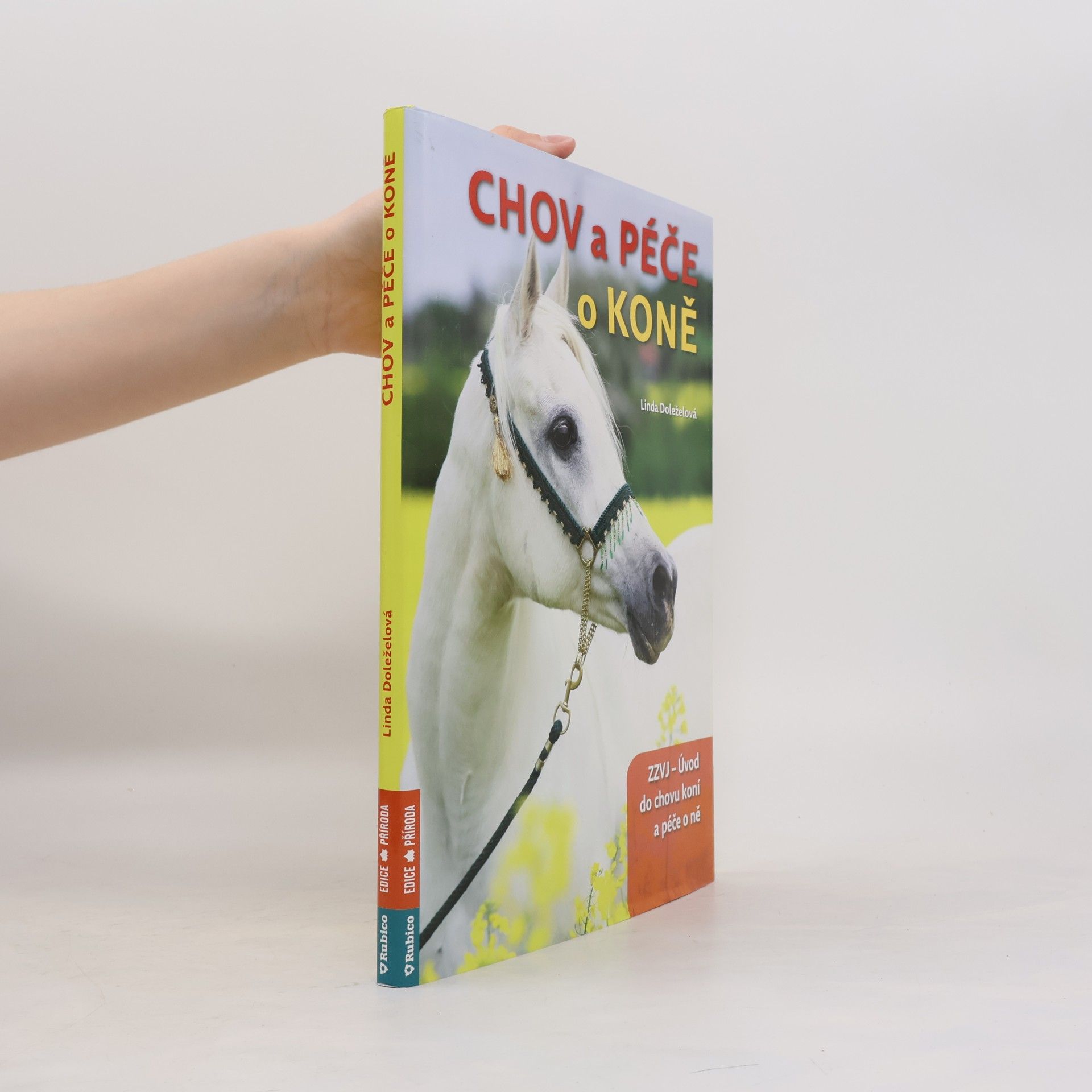 Chov a péče o koně