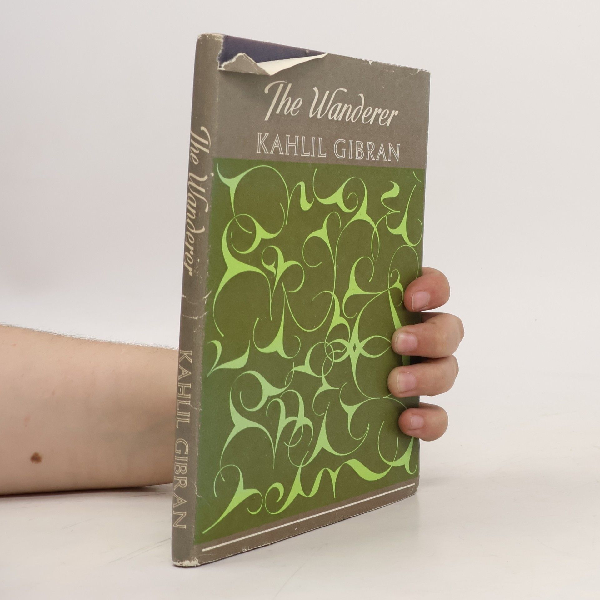 Khalil Gibran The Wanderer