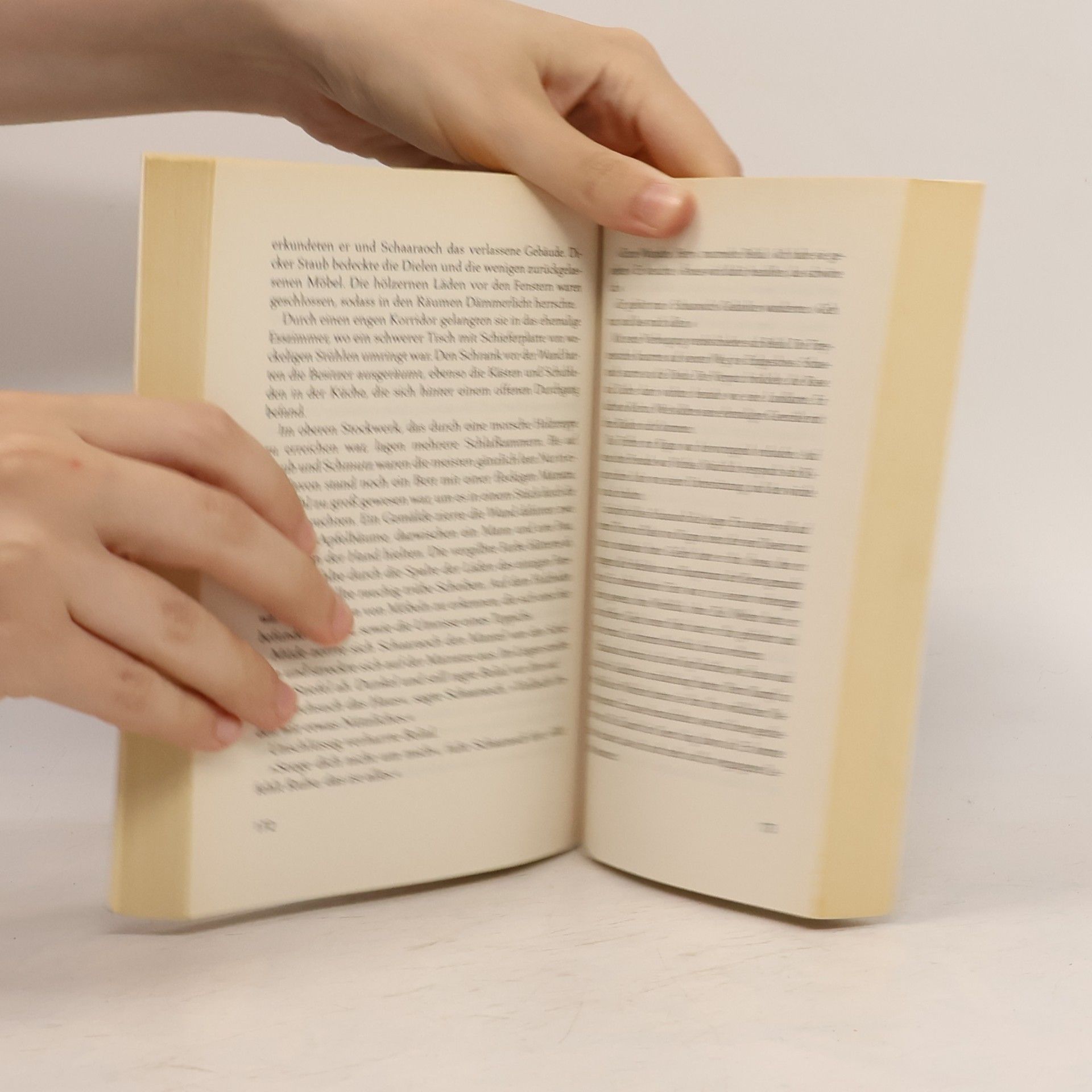 Micha Pansi Das Buch der Pfade III