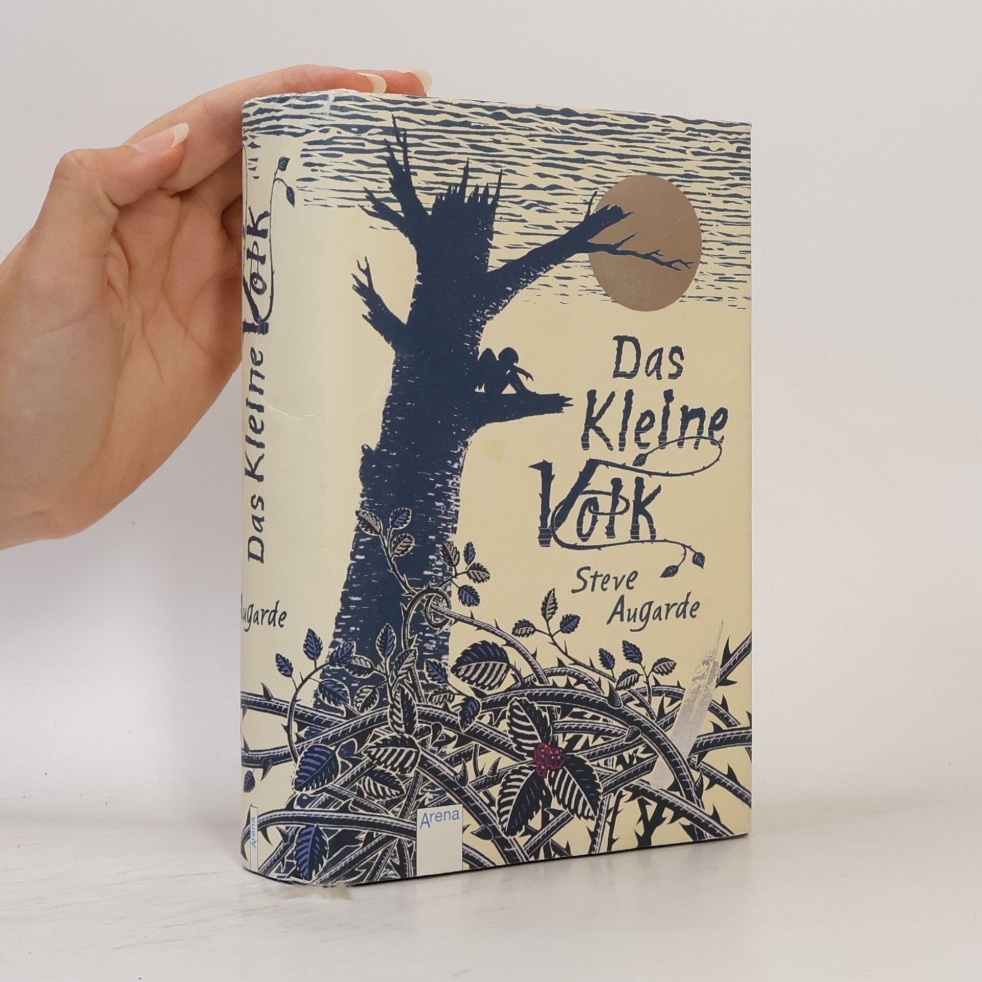 Steve Augarde Das Kleine Volk