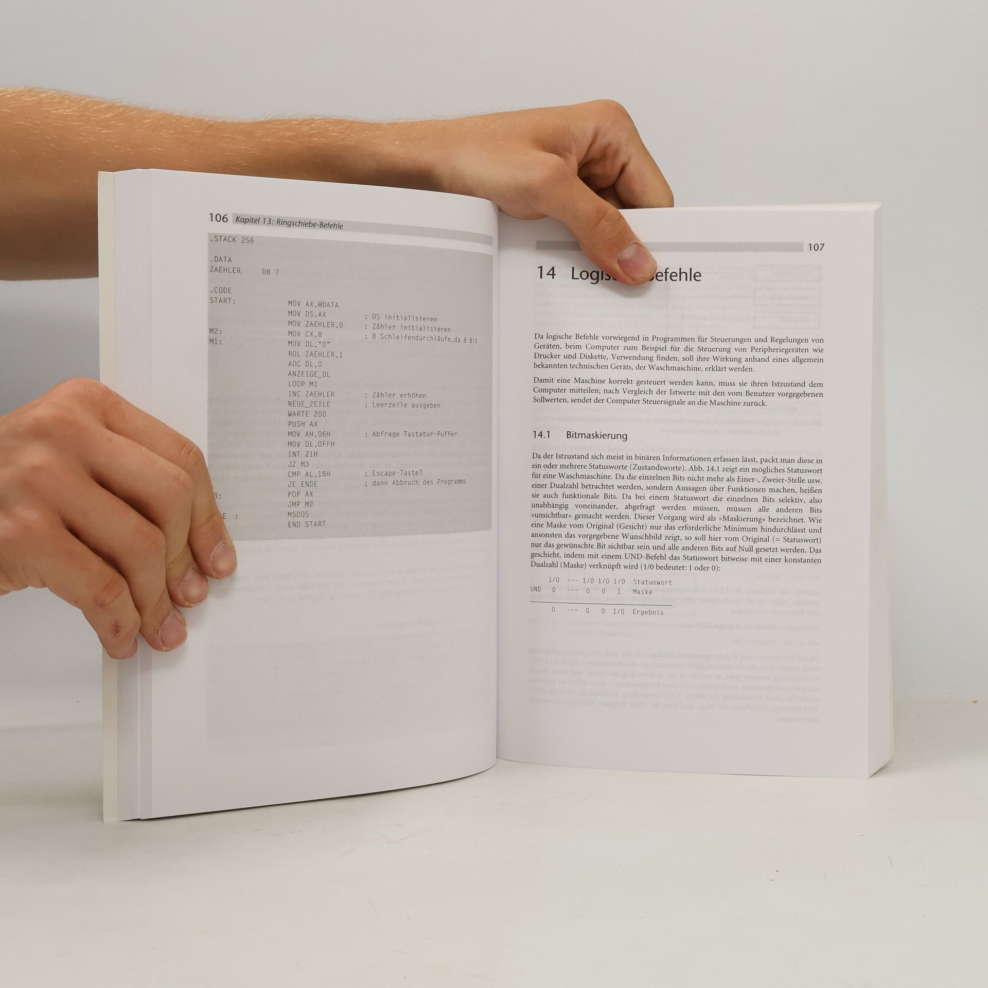 Wolfgang Link FRANZIS Professional Series: Assembler-Programmierung