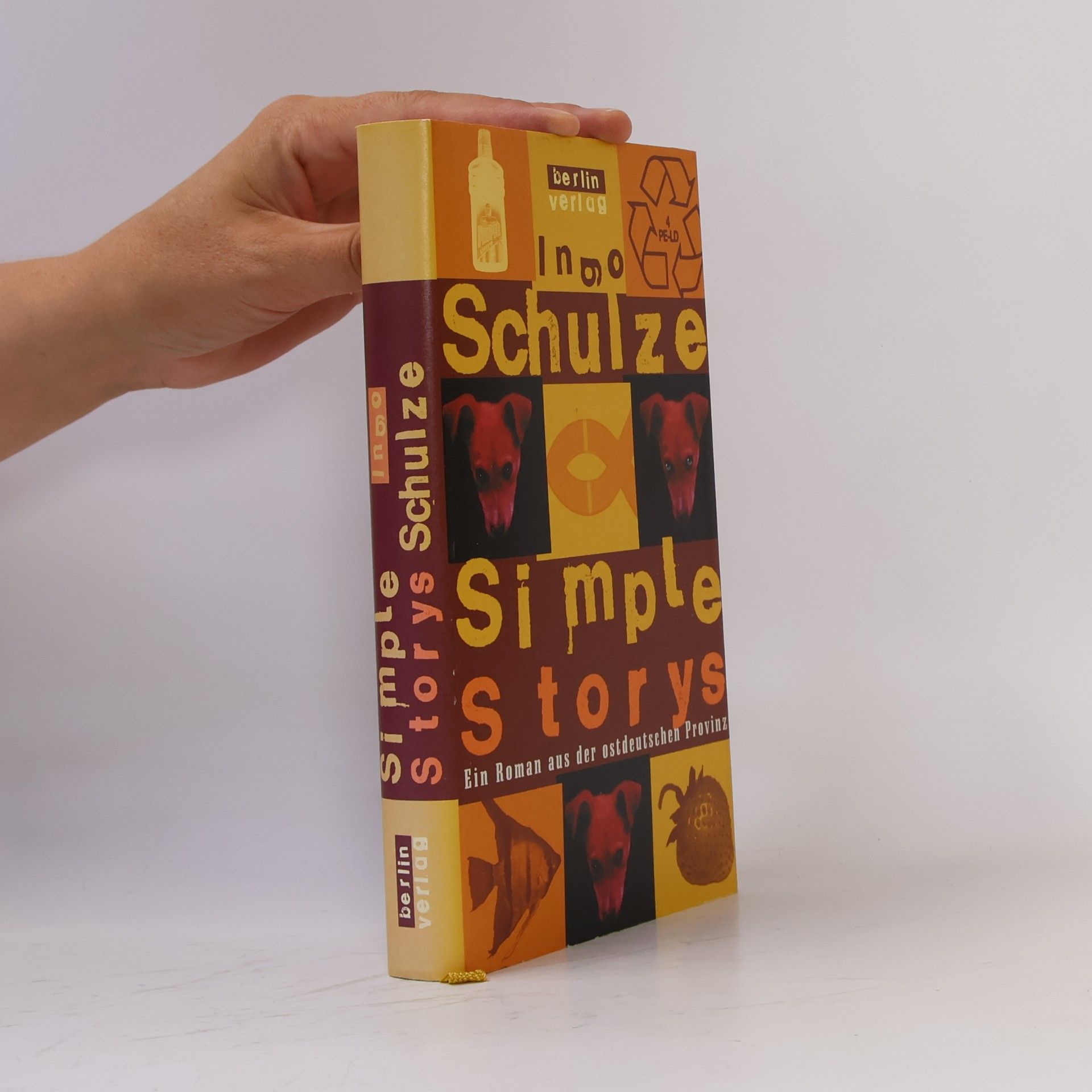 Ingo Schulze Simple Storys