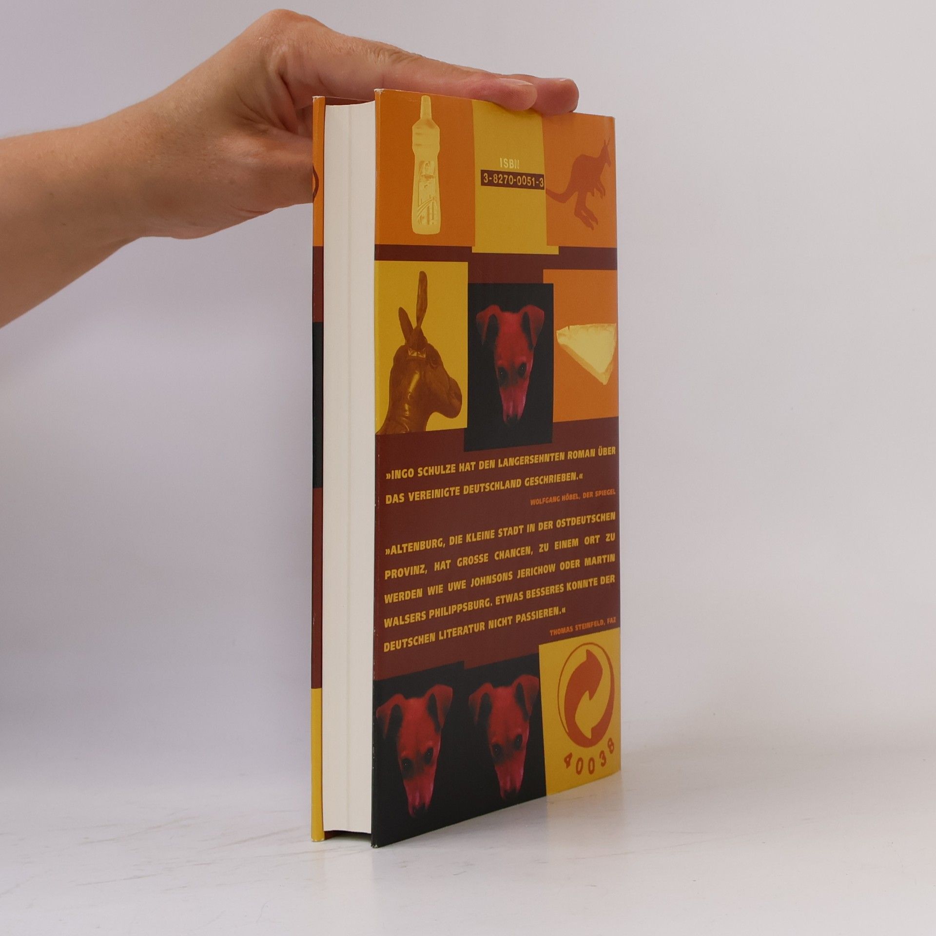 Ingo Schulze Simple Storys