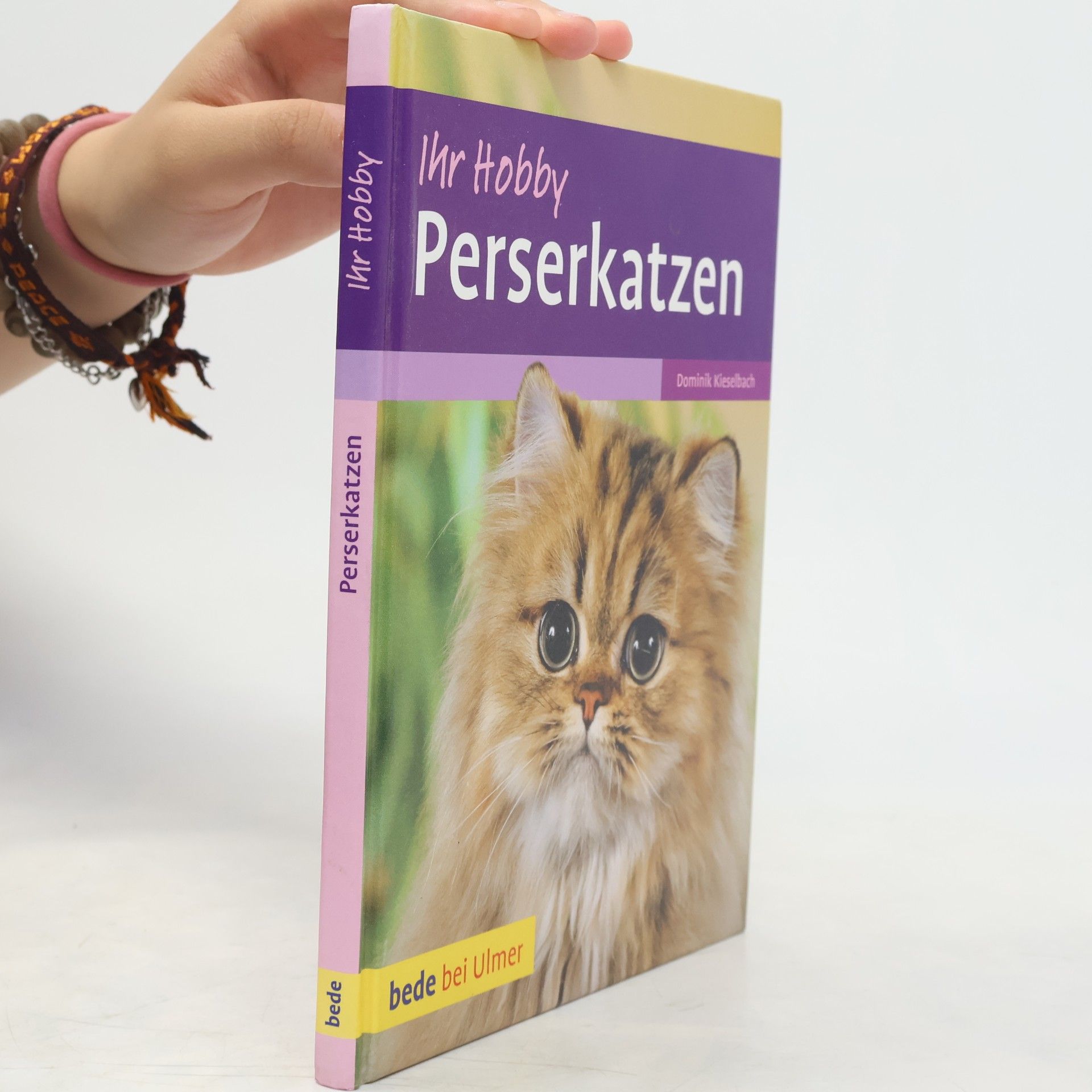 Dominik Kieselbach Perserkatzen