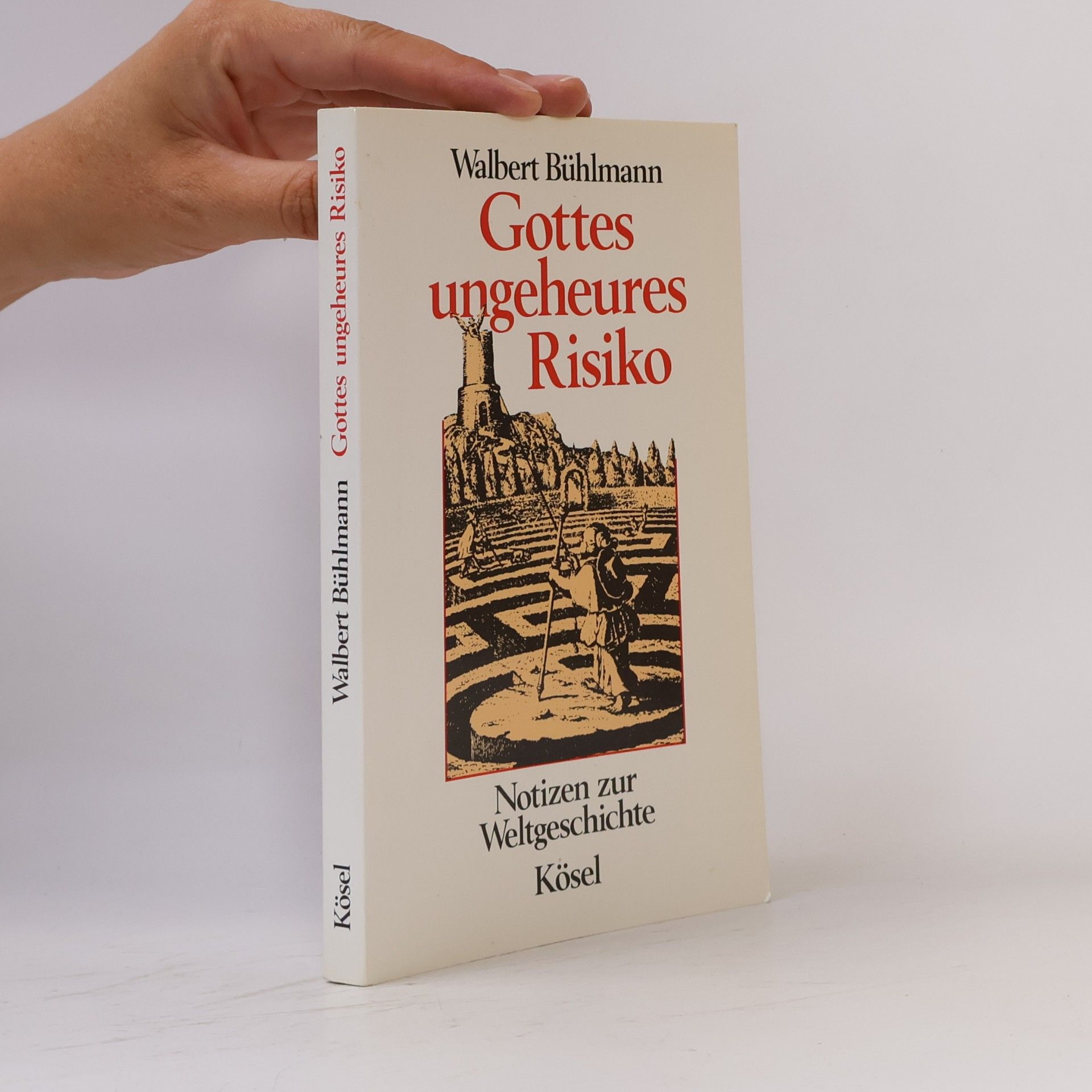 Walbert Bühlmann Gottes ungeheures Risiko