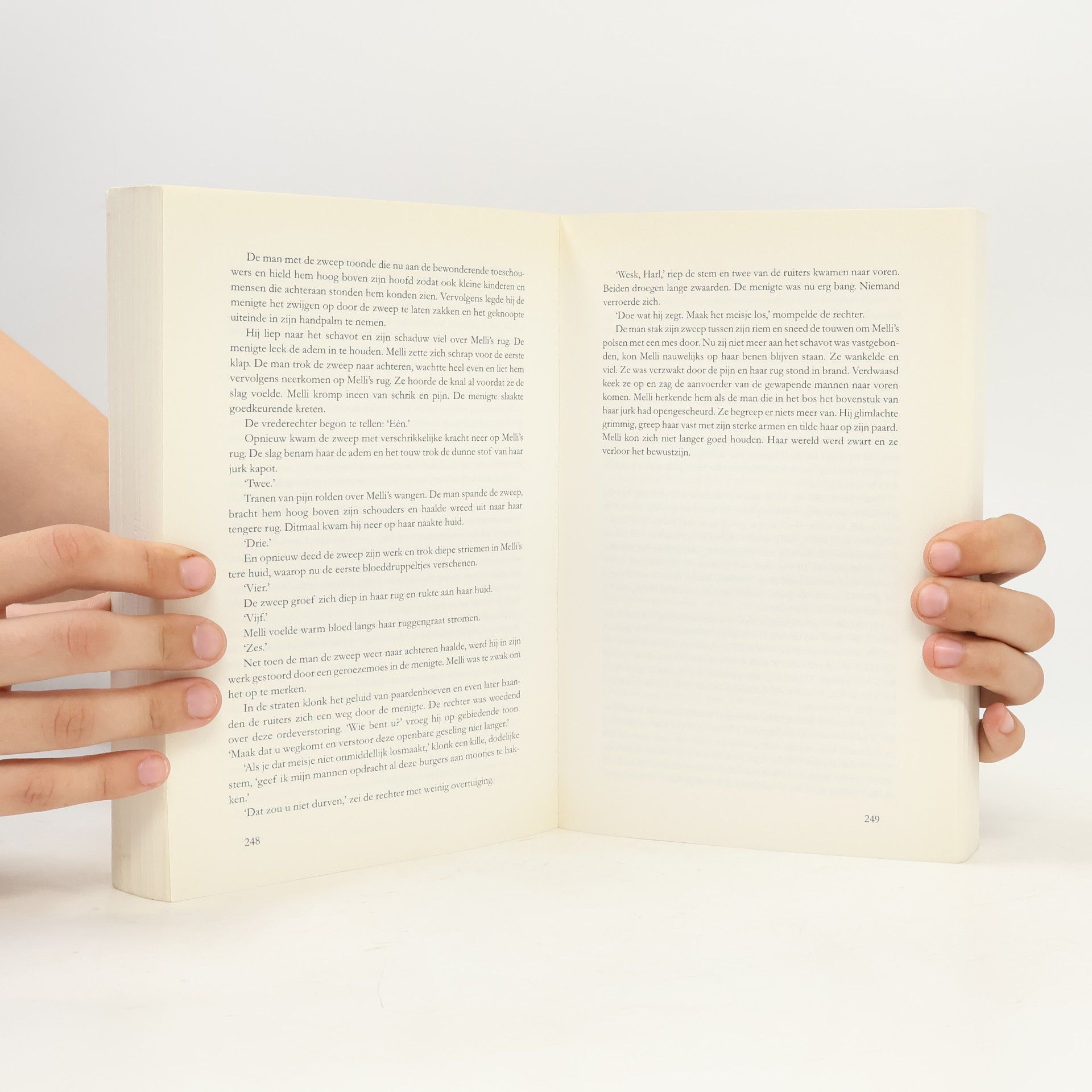 Julie Victoria Jones Het Boek der Woorden - 1: De Meesters van Harvell