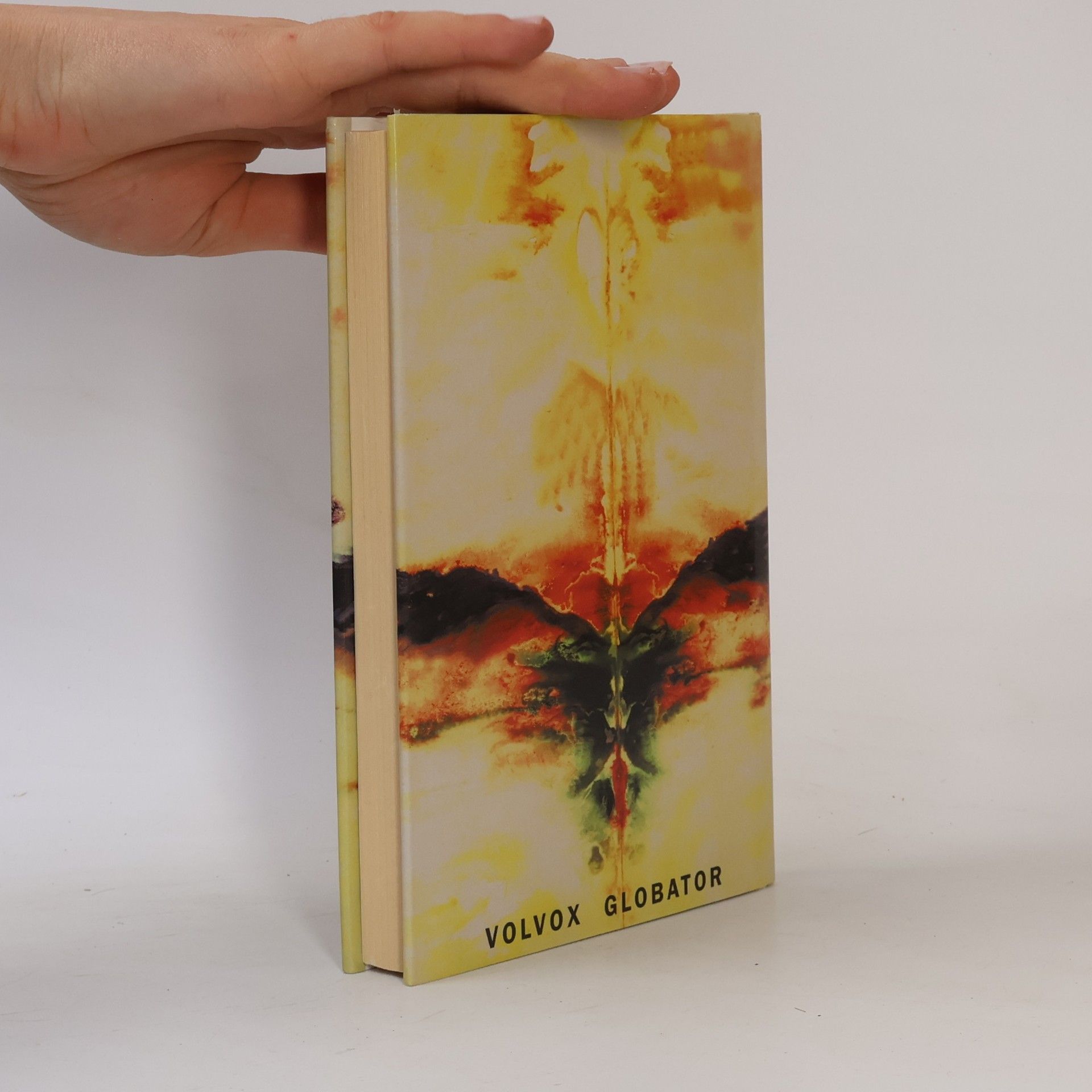 Carlos Castaneda Příběhy síly