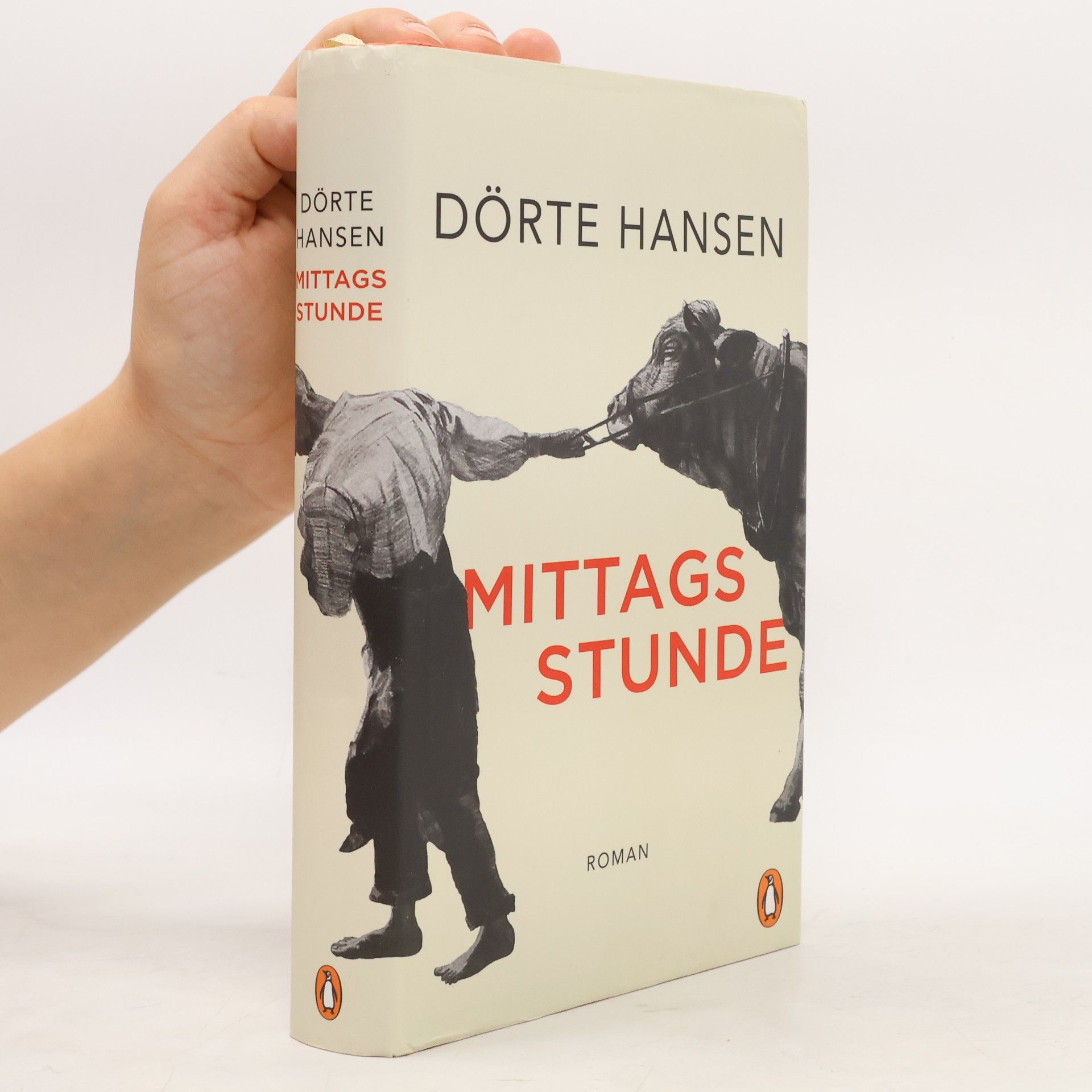 Dörte Hansen Mittagsstunde