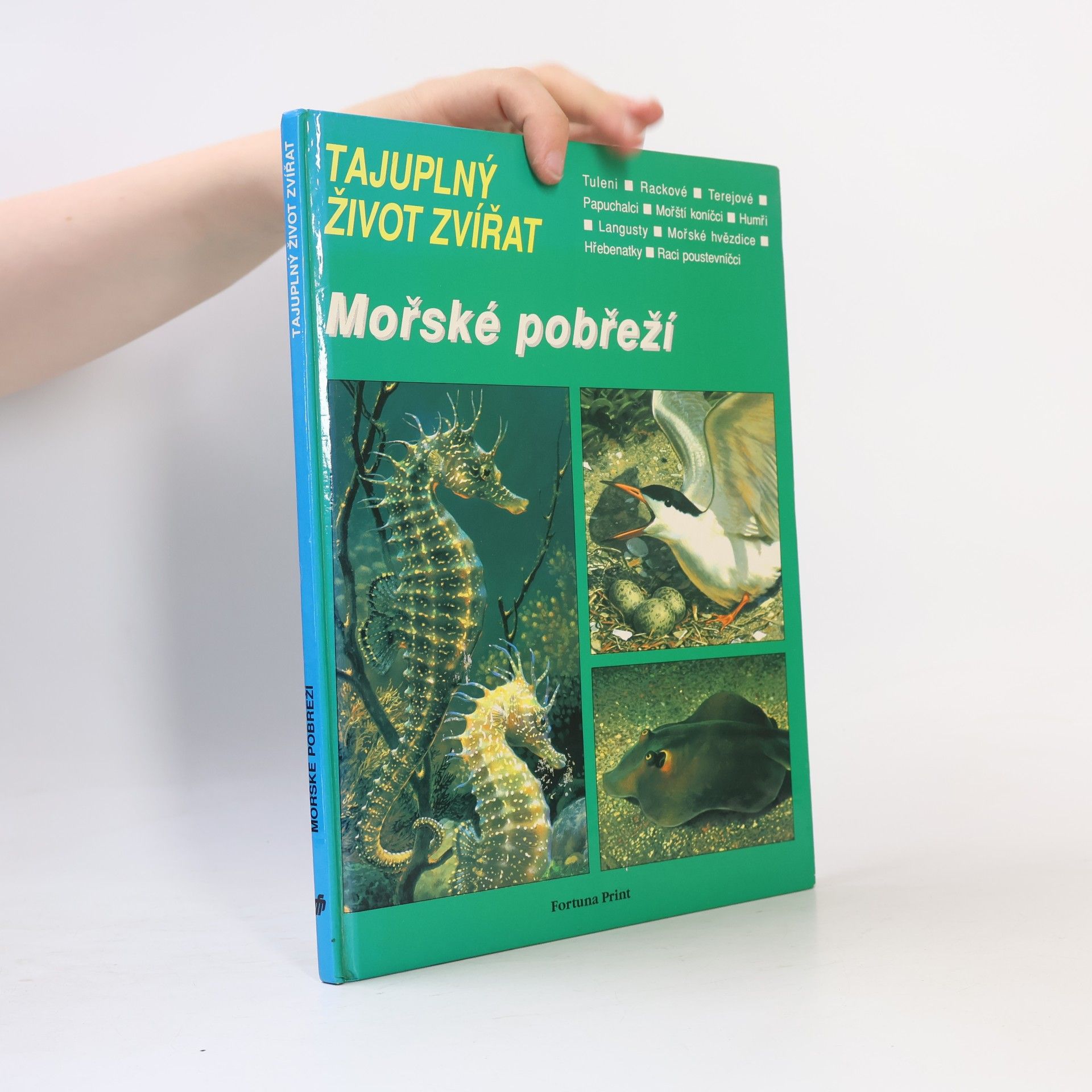 Charles Roux Tajuplný život zvířat: Mořské pobřeží