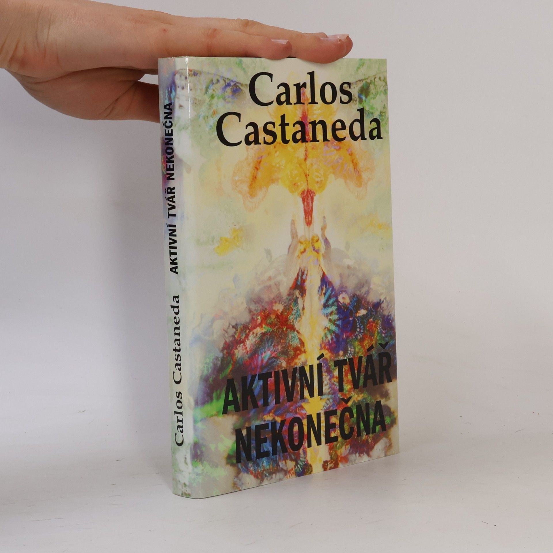 Carlos Castaneda Aktivní tvář nekonečna