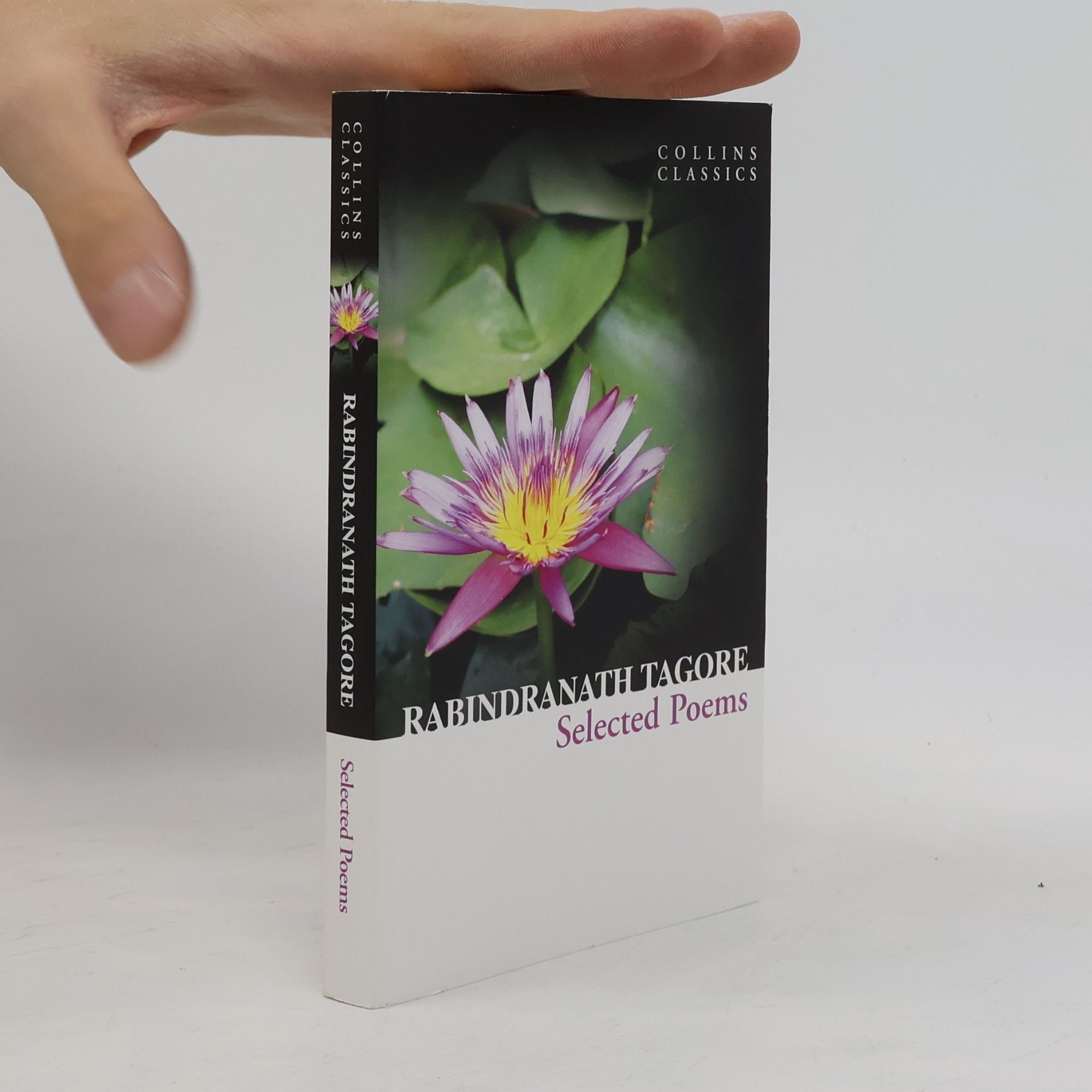 Rabindranath Tagore Selected Poems