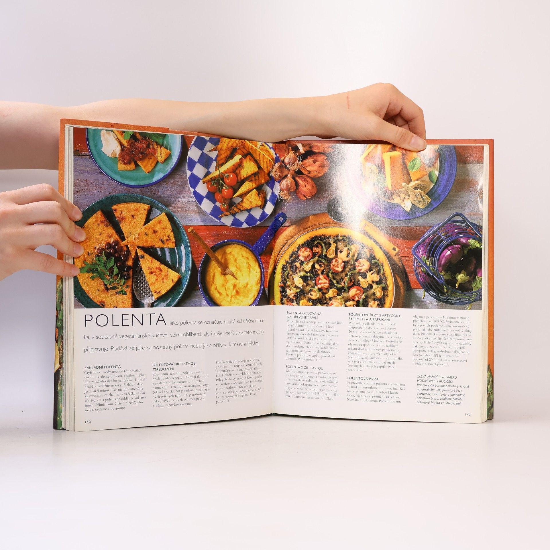 Jana Steinerová Moderní vegetariánská kuchařka