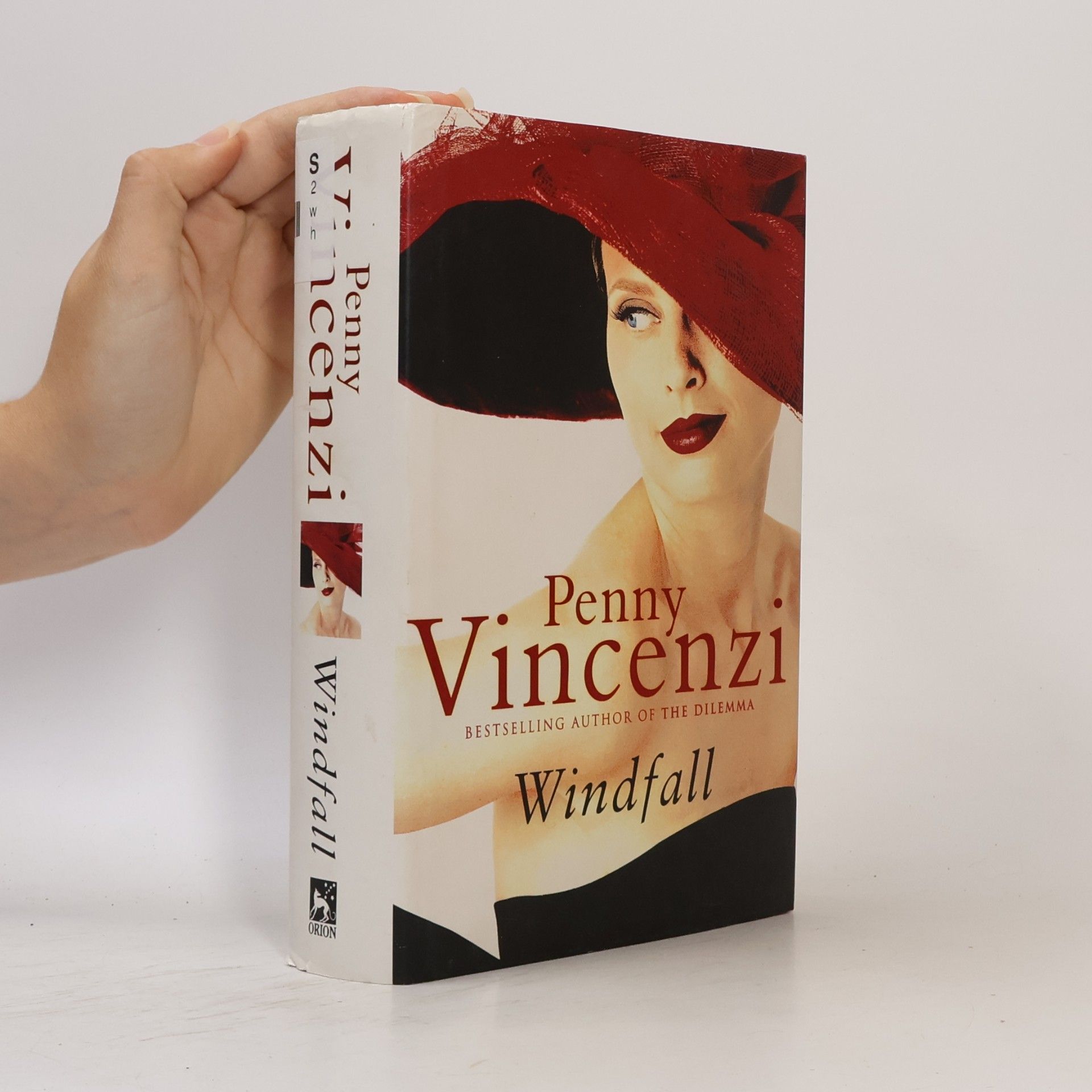 Penny Vincenzi Windfall
