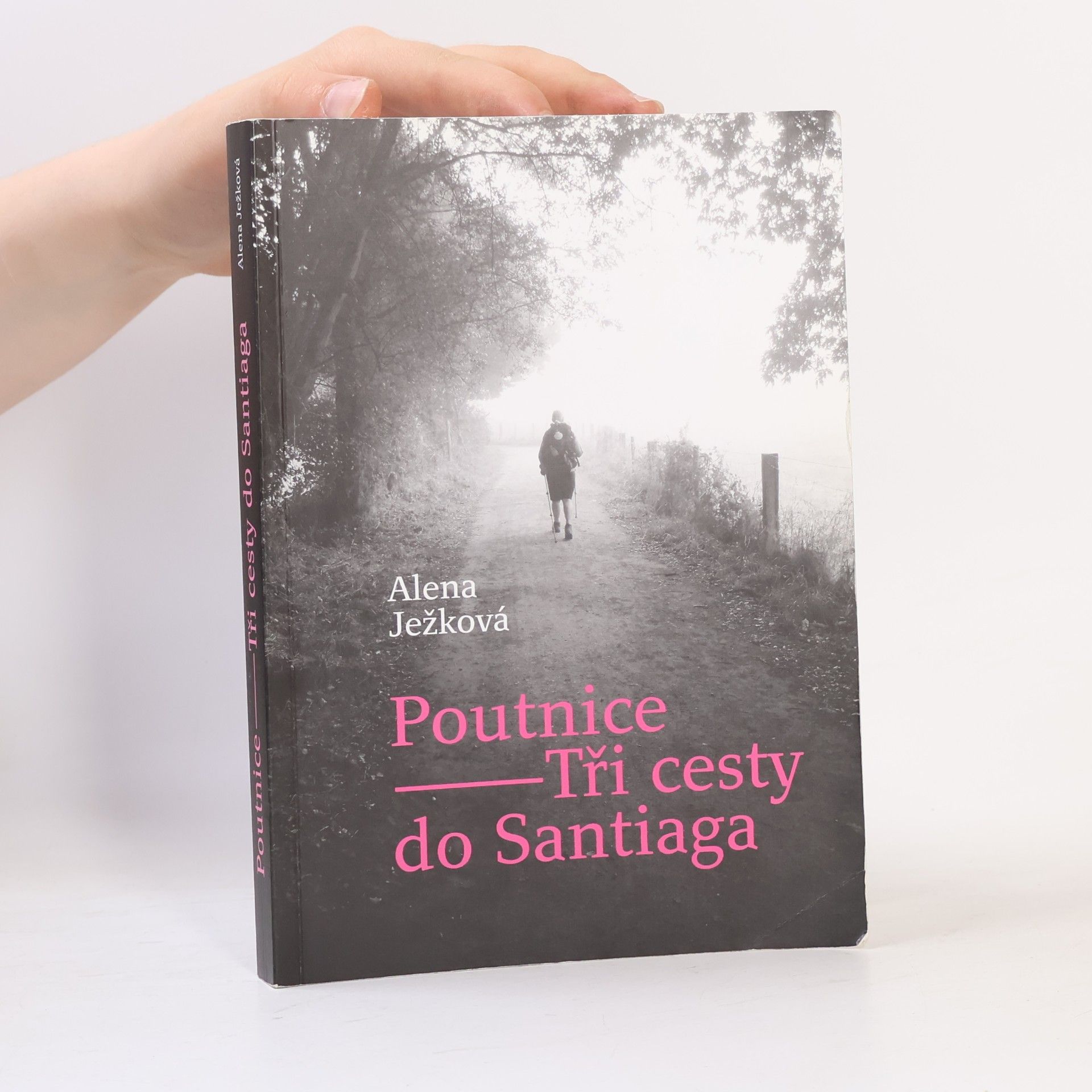 Alena Ježková Poutnice: Tři cesty do Santiaga