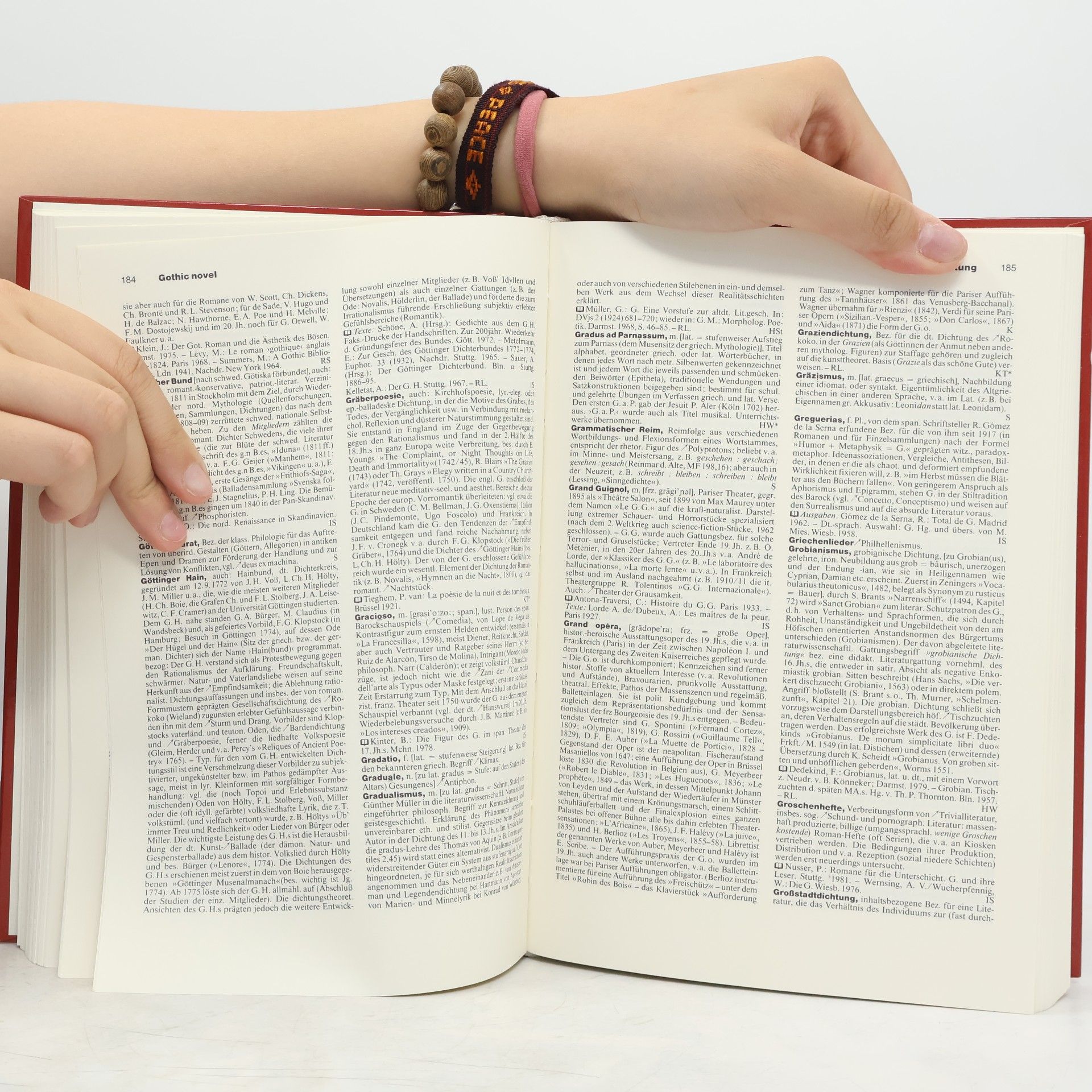Günther Schweikle Metzler-Literatur-Lexikon