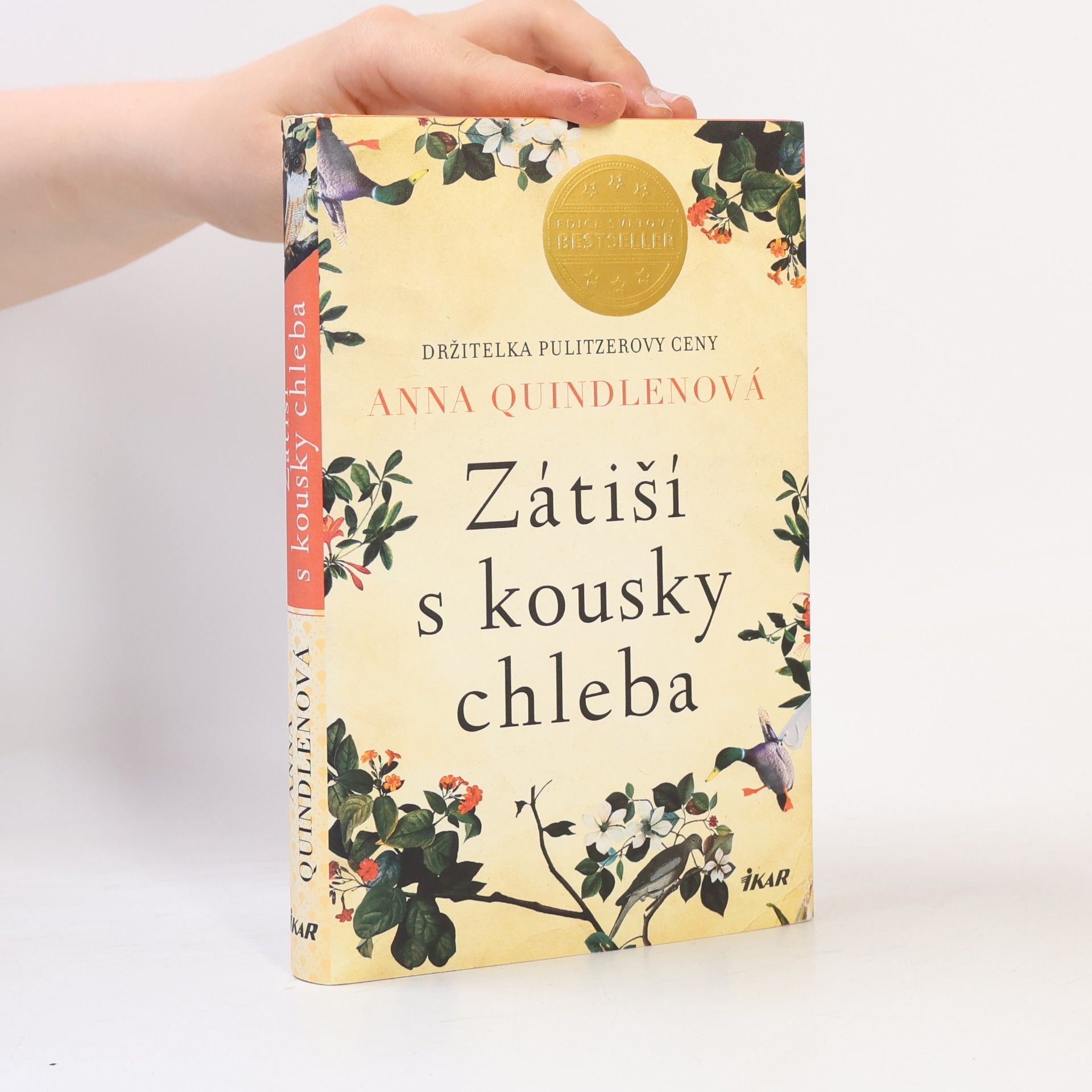 Anna Quindlen Zátiší s kousky chleba