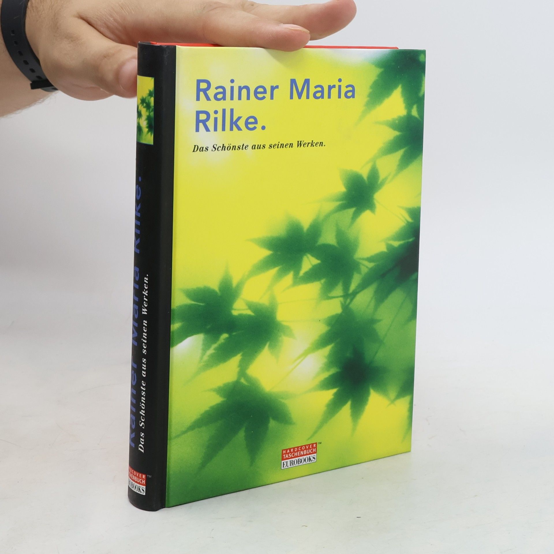 Das Schönste aus seinen Werken